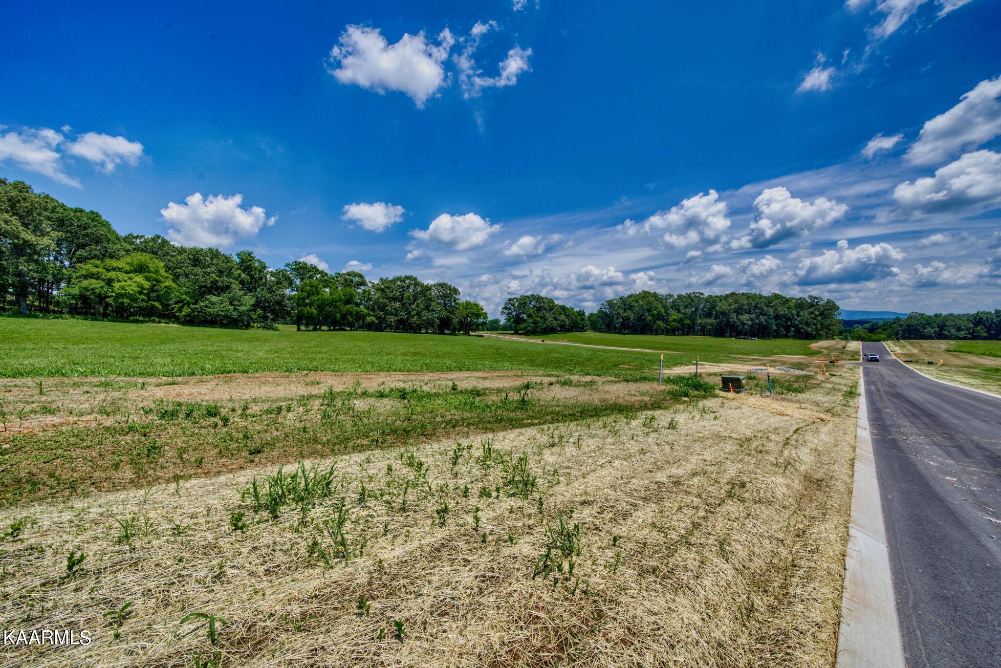 Greenback, TN 37742,Lot16 922 Sophie DR