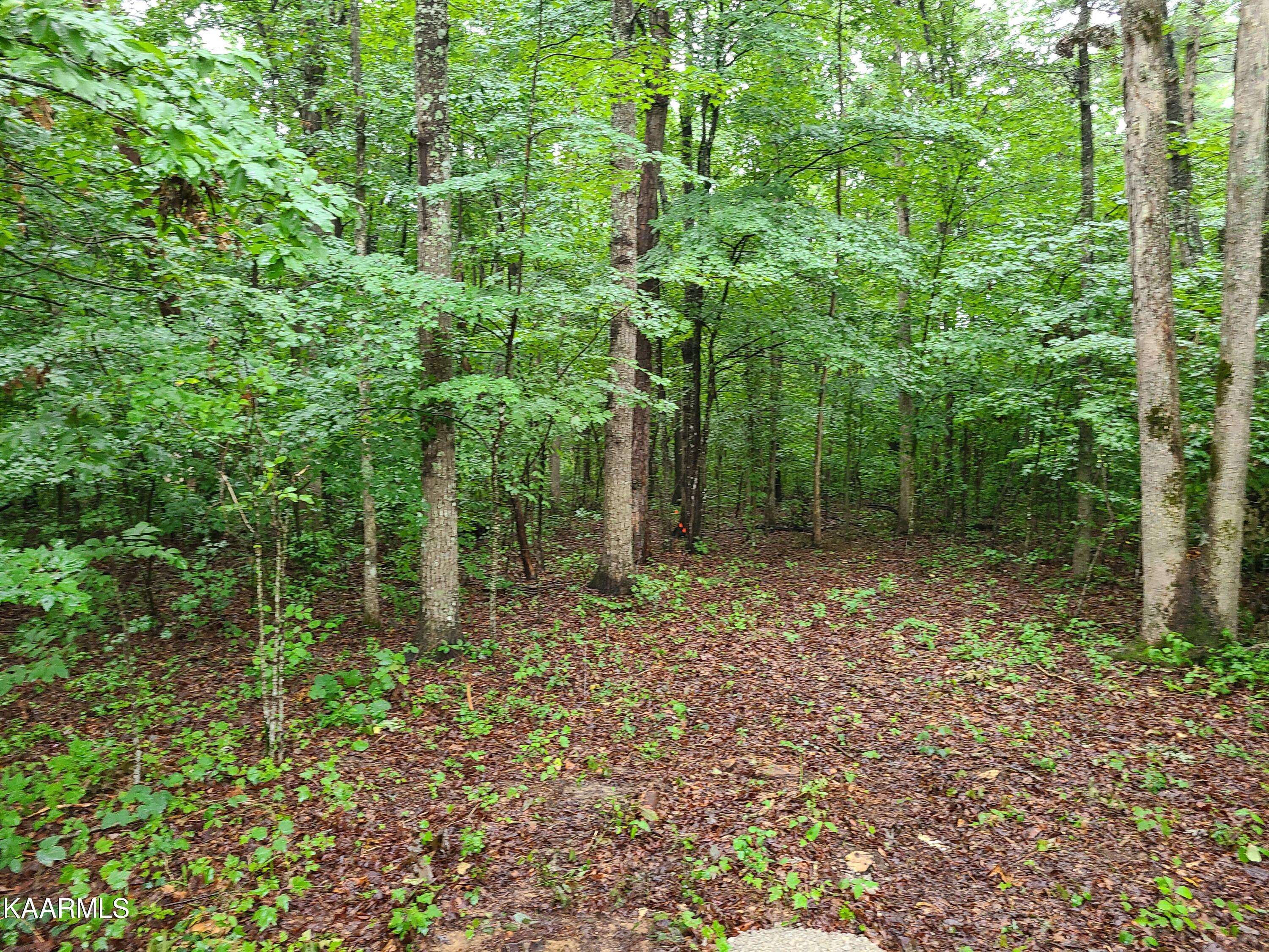 Jamestown, TN 38556,Trimmer Lane Lot # 12 LN