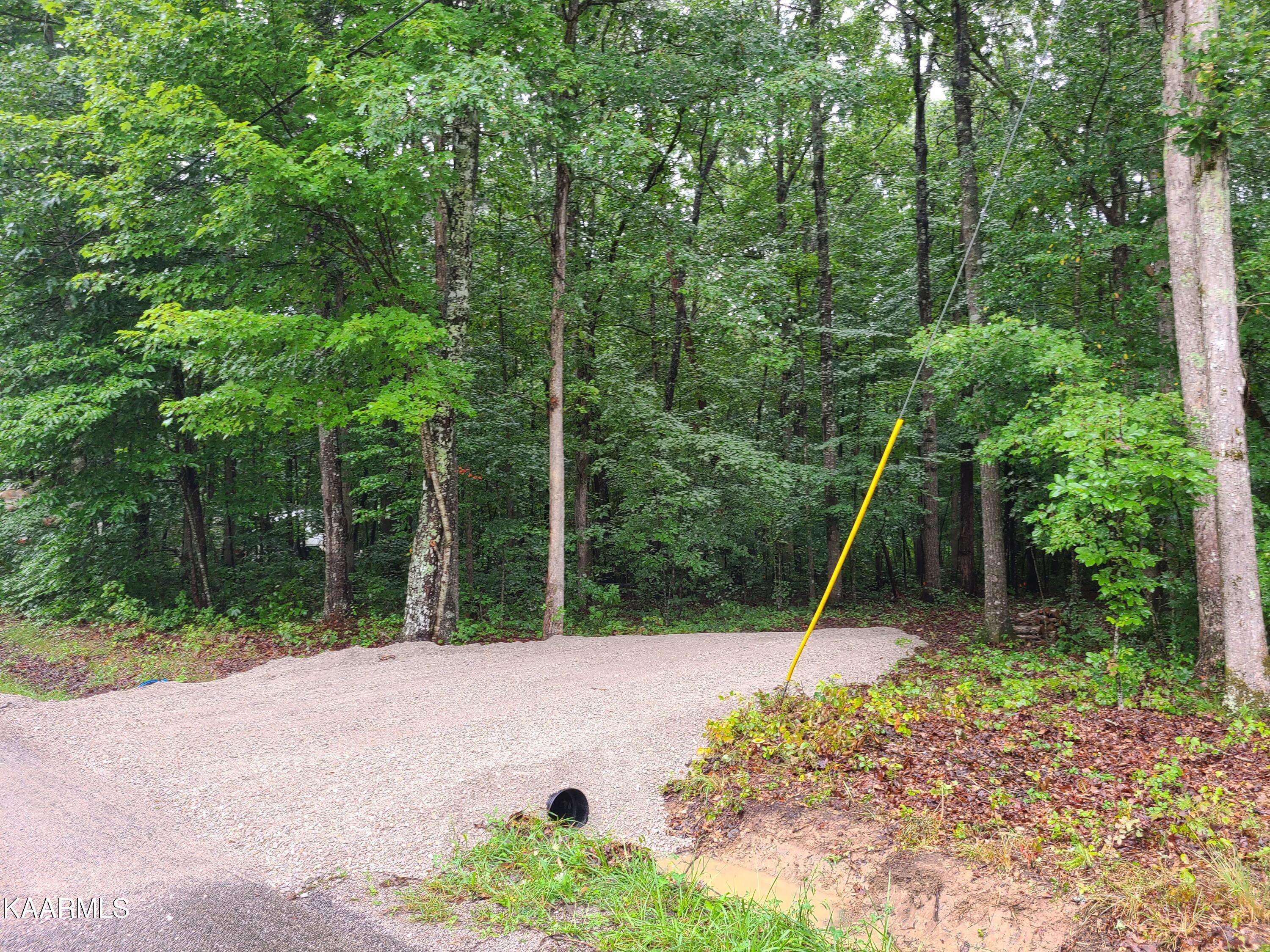 Jamestown, TN 38556,Trimmer Lane Lot # 12 LN