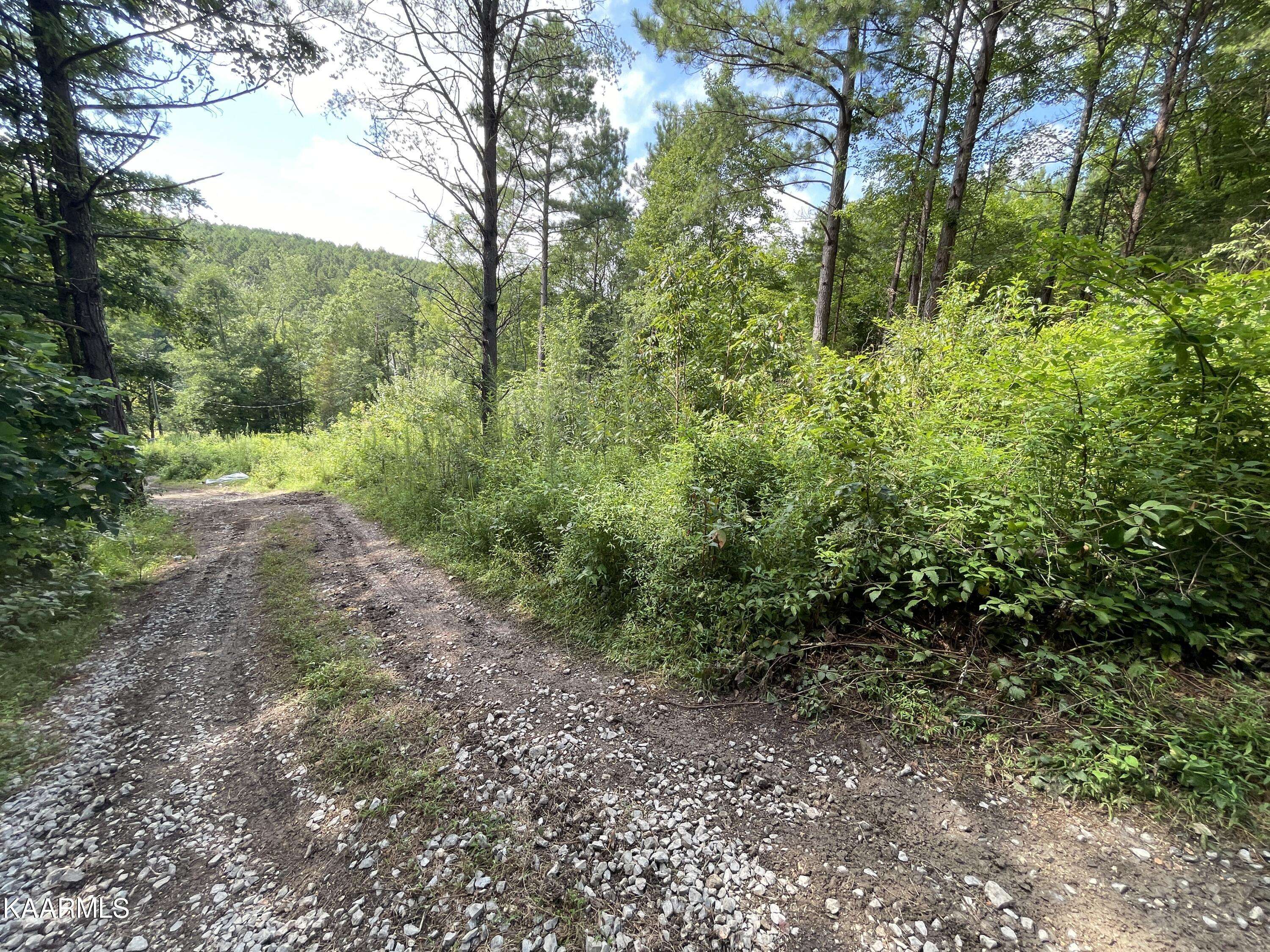 Sweetwater, TN 37874,5198 Clay Hollow Rd