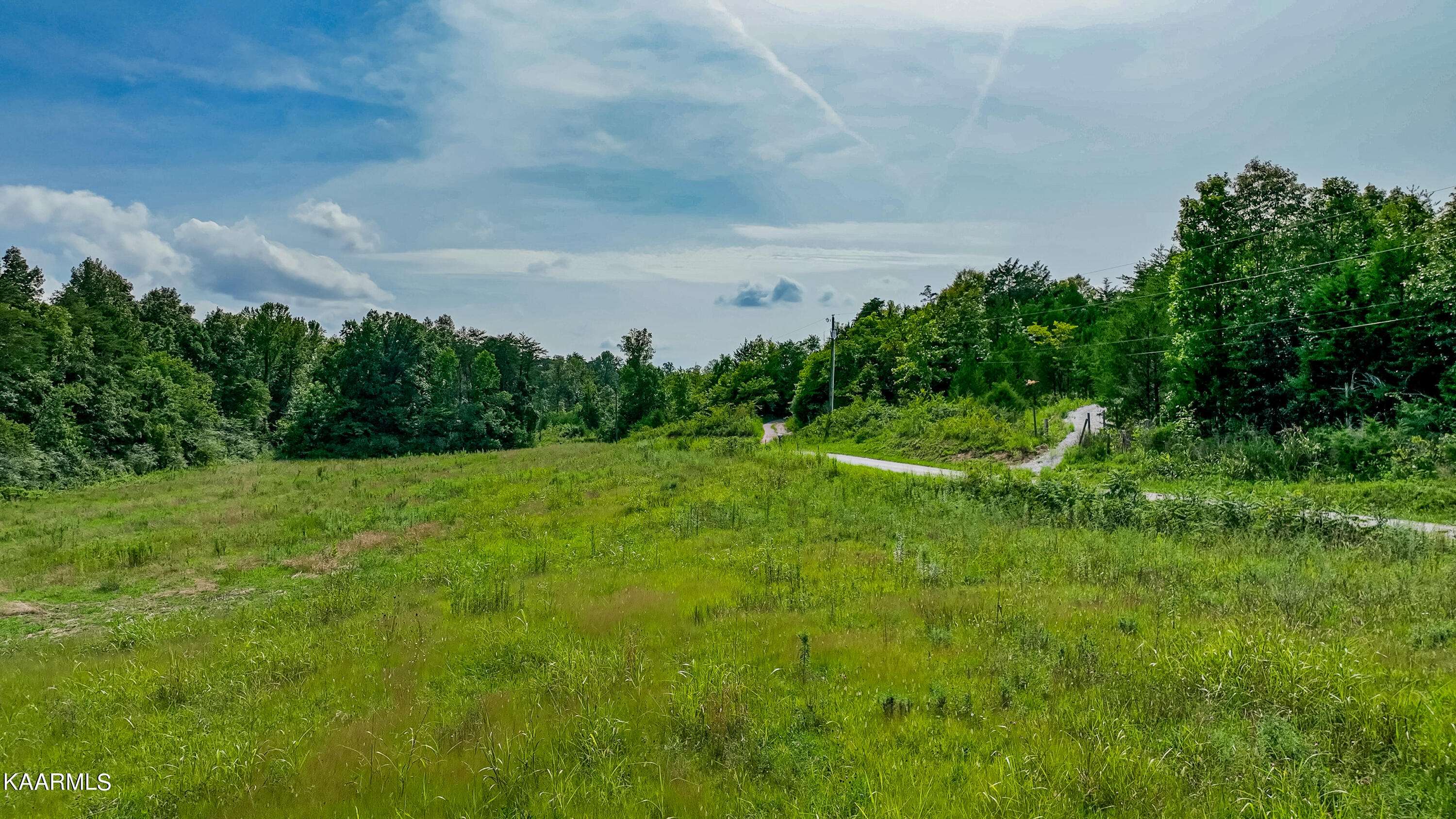 Tellico Plains, TN 37385,125 Shadden Road