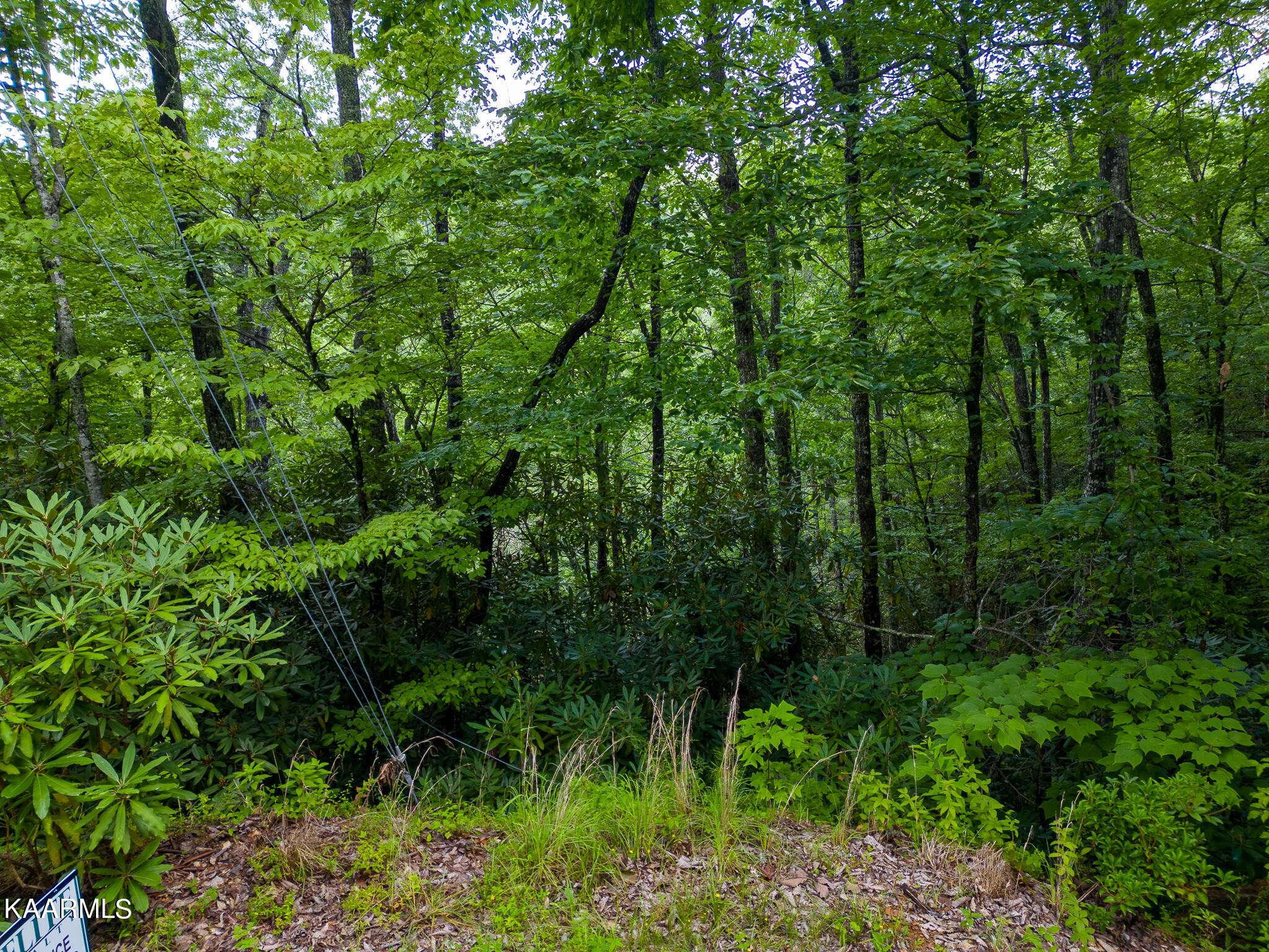 Gatlinburg, TN 37738,Black Gum Gap Rd