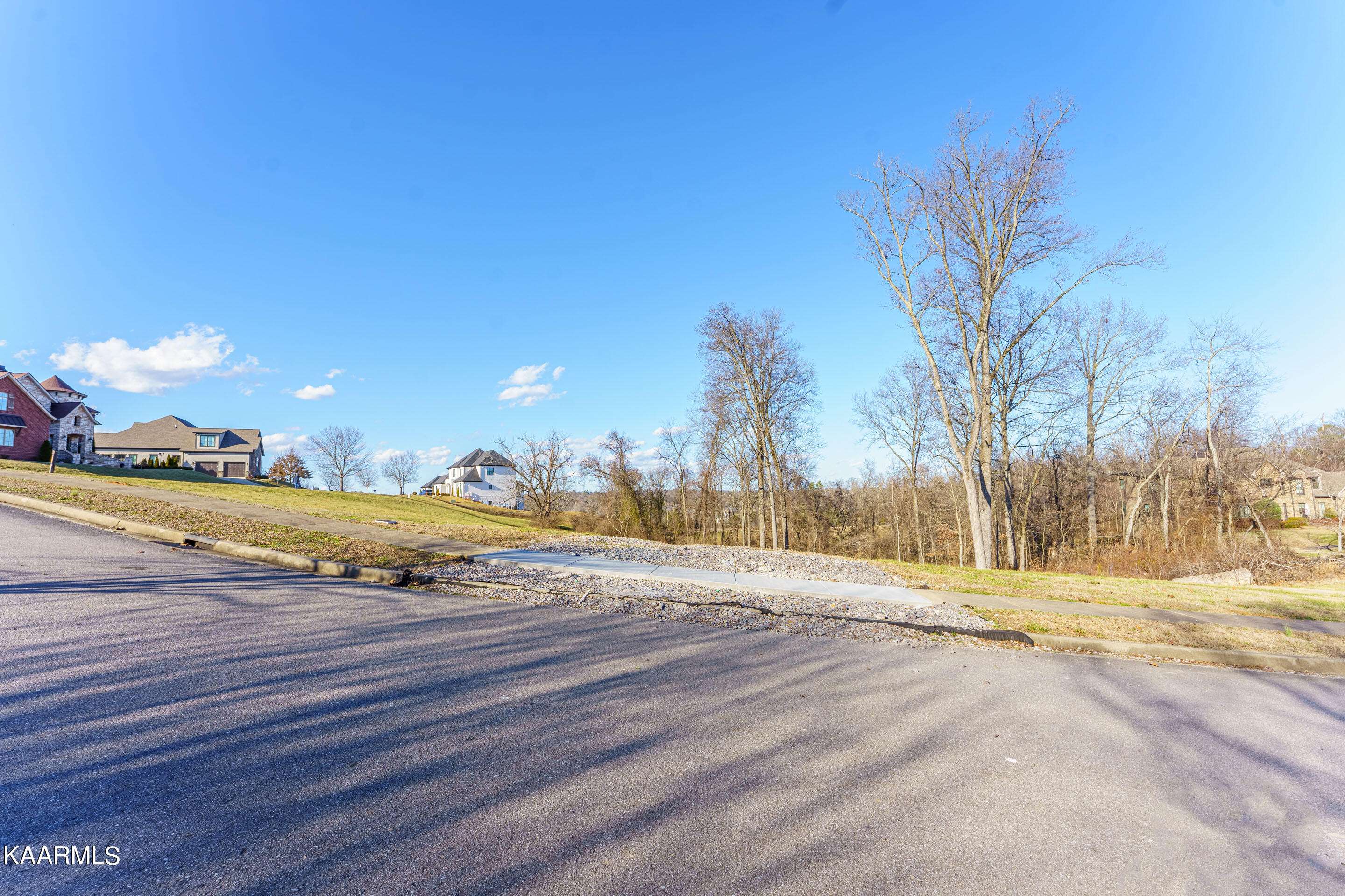 Knoxville, TN 37934,808 Hammock Lane Lot 100