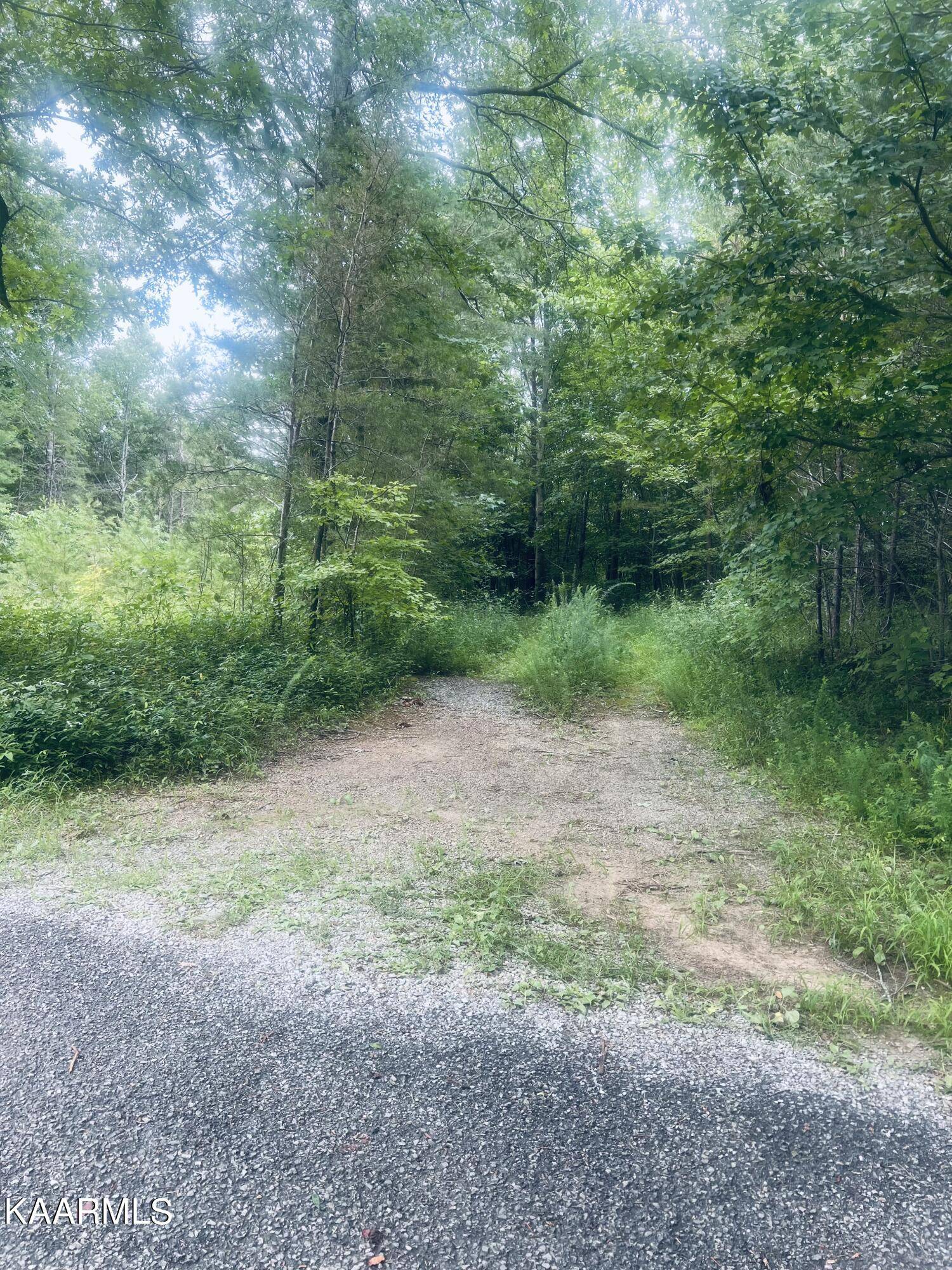 Tellico Plains, TN 37385,310 Unicoi Lakes Rd