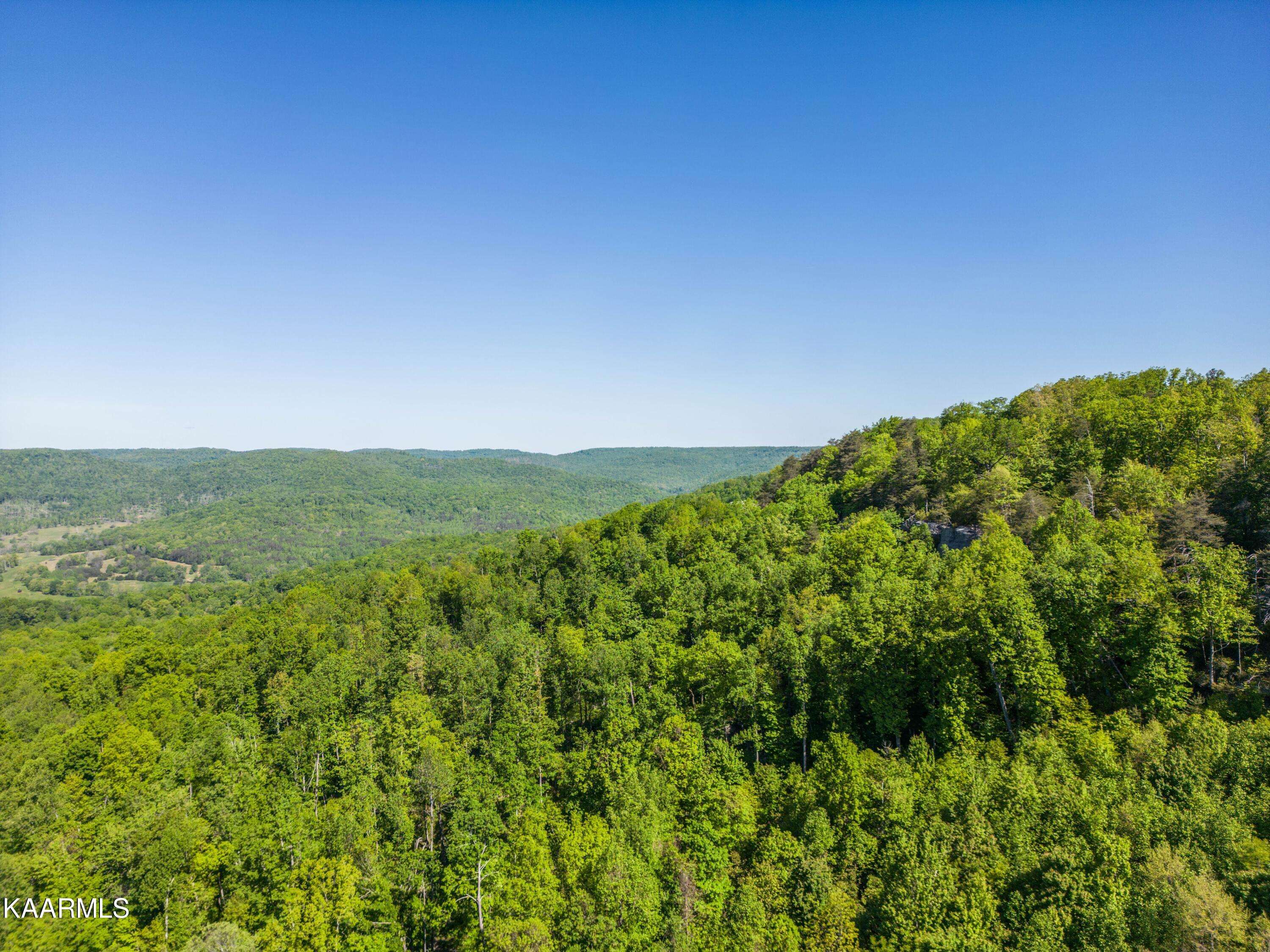 Monterey, TN 38574,1075 Eastridge PASS