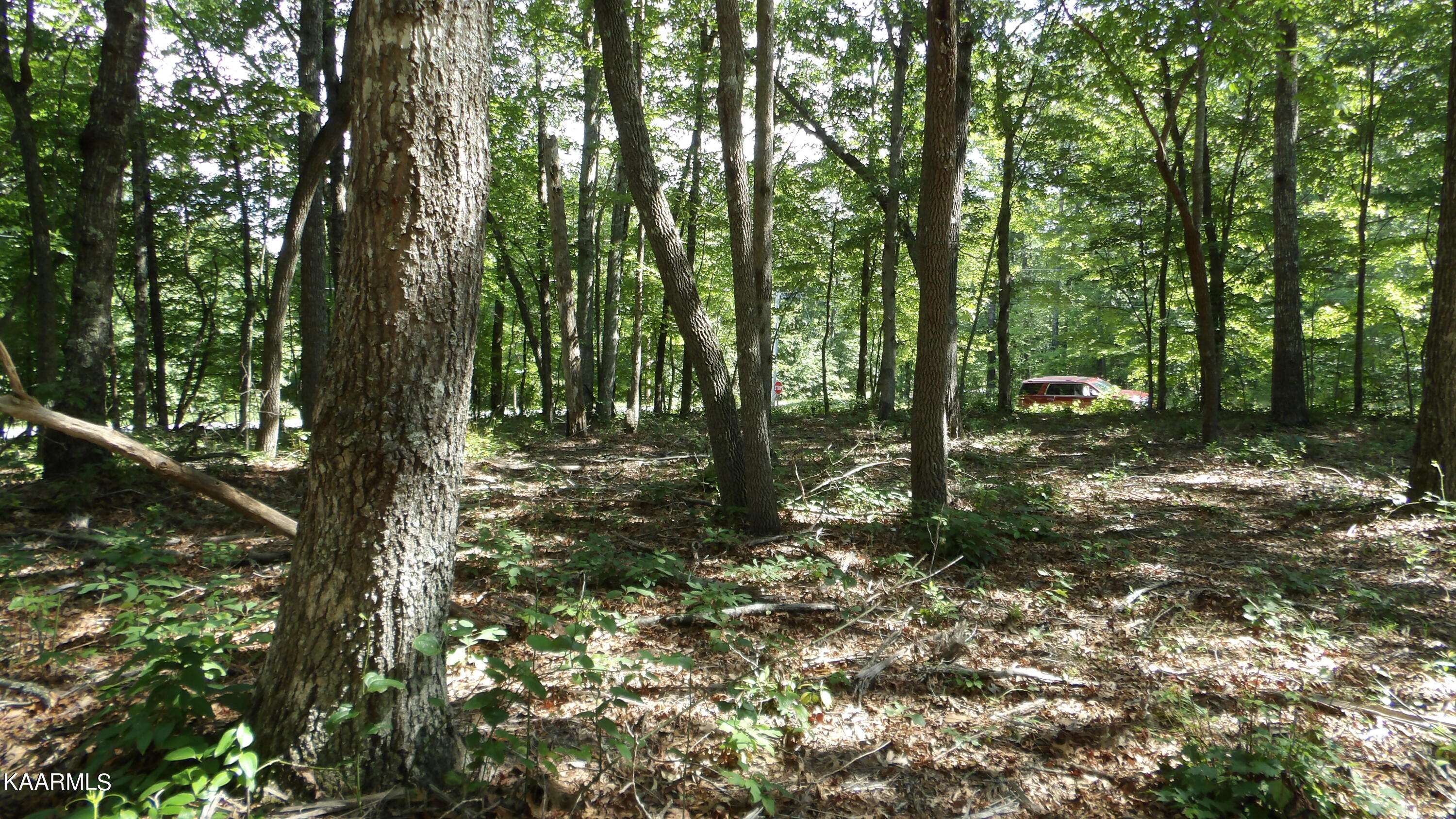 Monterey, TN 38574,Lot 26 Cumberland Lakes Drive