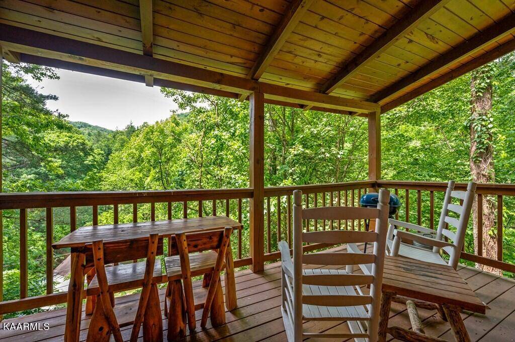 Sevierville, TN 37862,2910 Lightfoot WAY