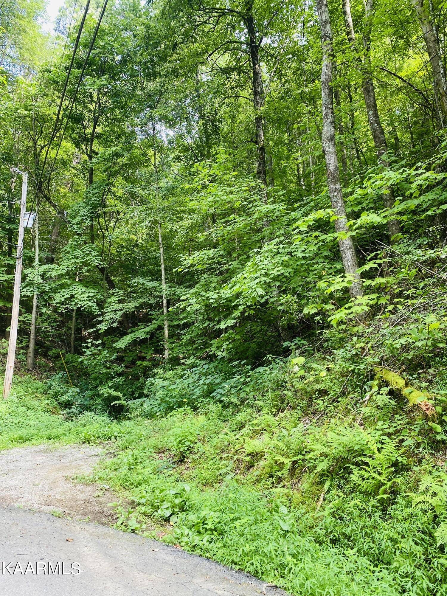 Sevierville, TN 37876,Beach Front Lot 1144 DR