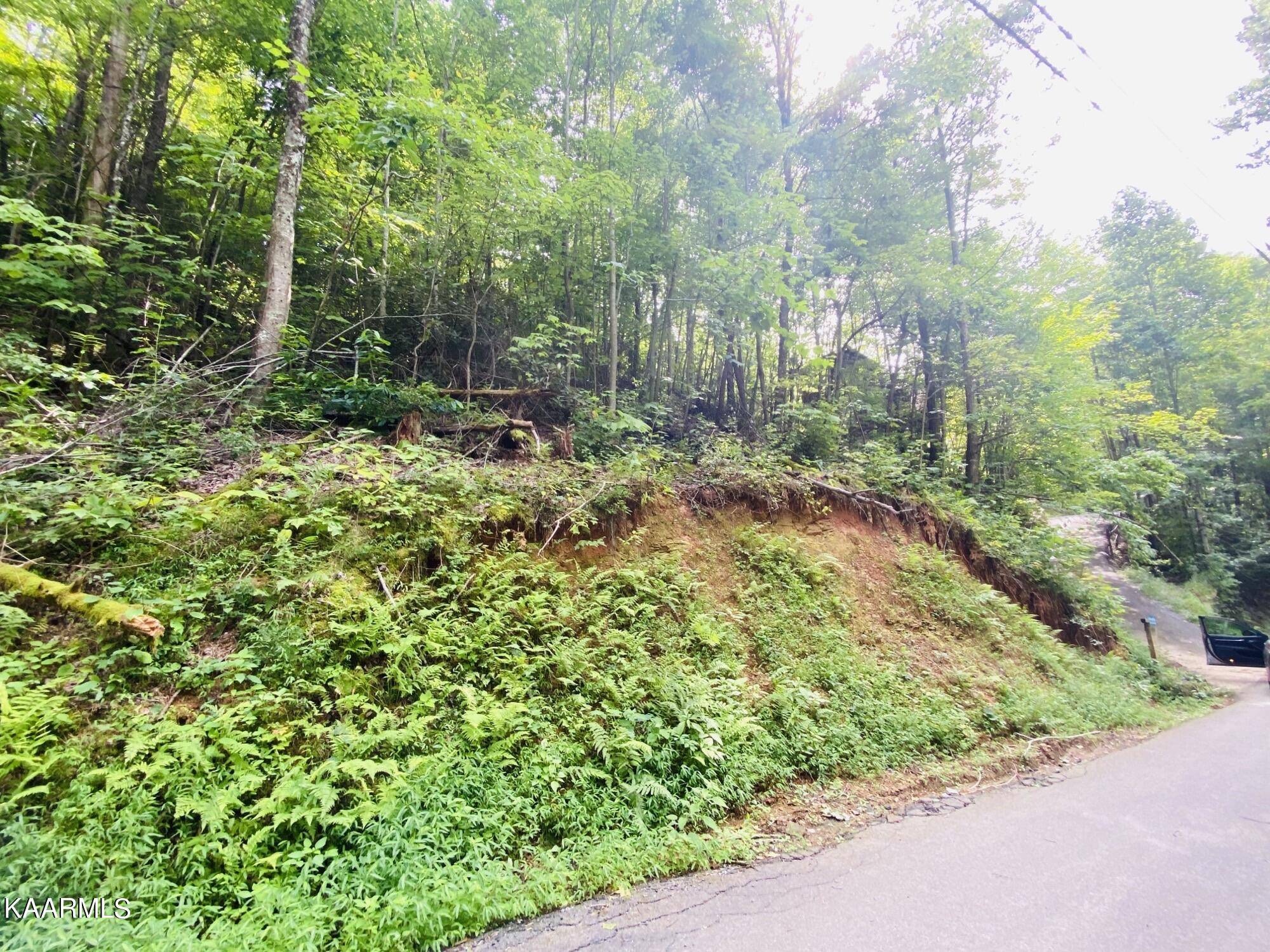 Sevierville, TN 37876,Beach Front Lot 1144 DR