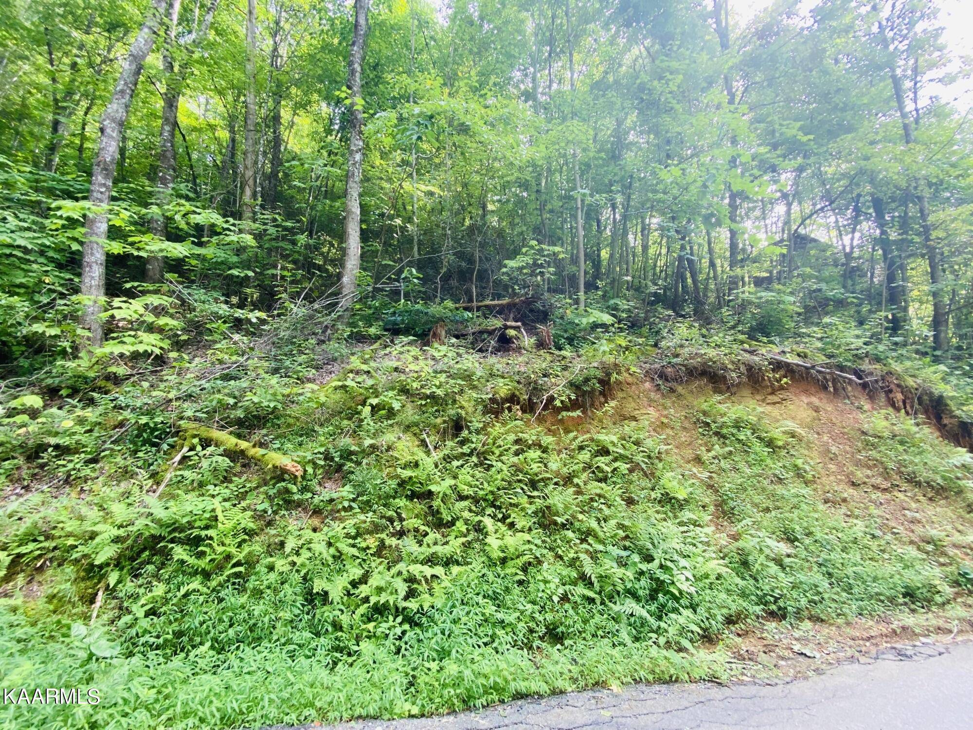 Sevierville, TN 37876,Beach Front Lot 1144 DR