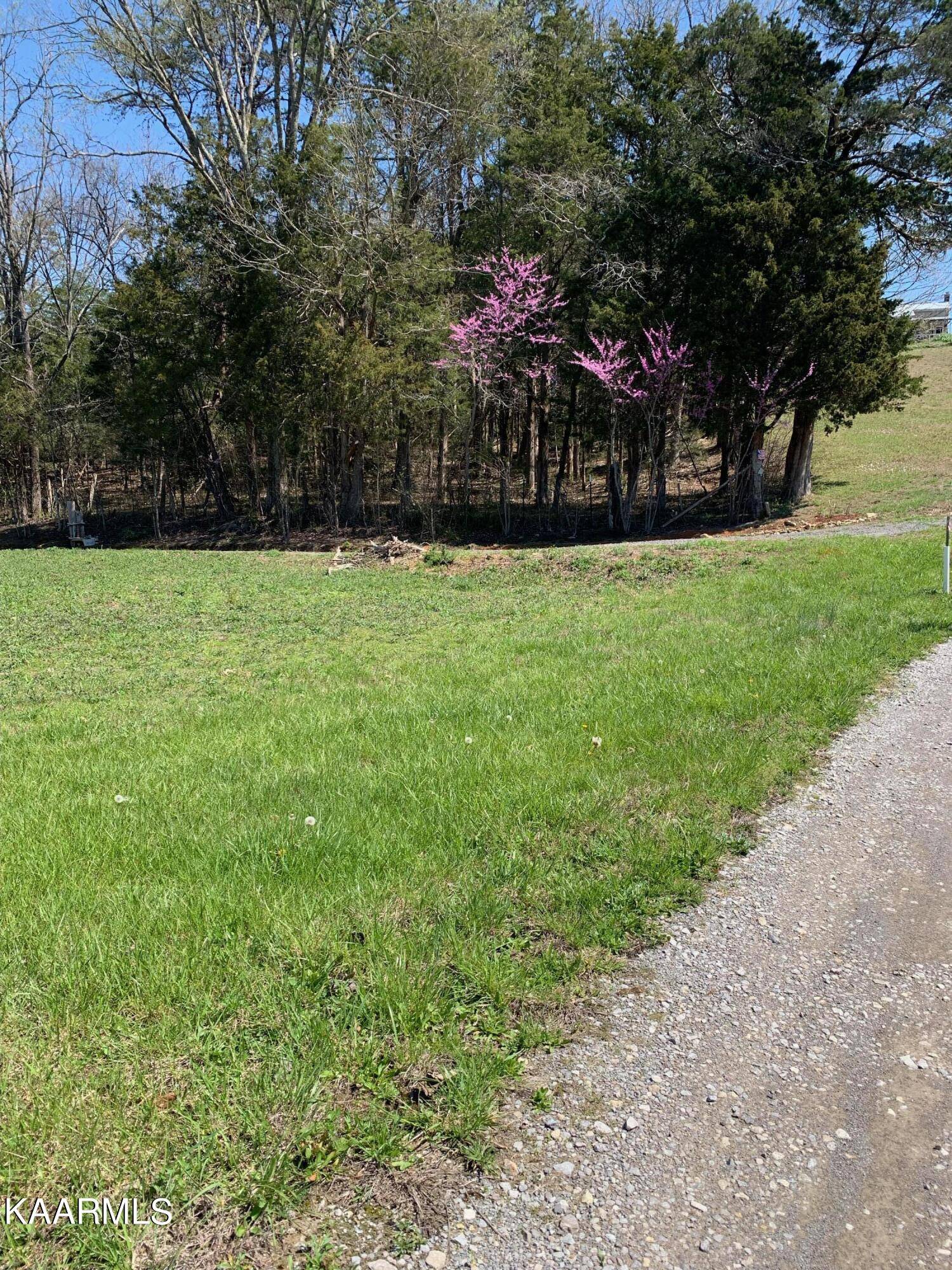 Thorn Hill, TN 37881,310 Southern Choice Trail