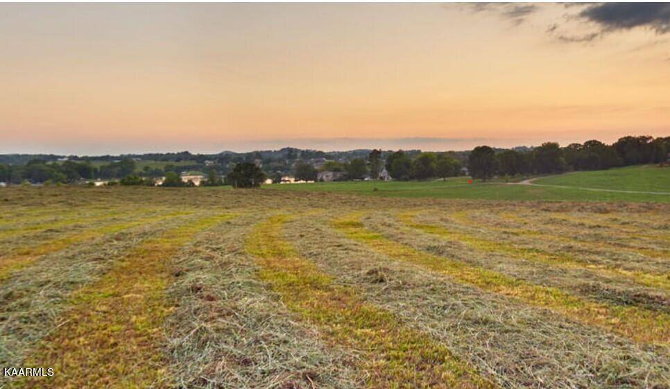 Louisville, TN 37777,Lot 9 Lowes Ferry Rd