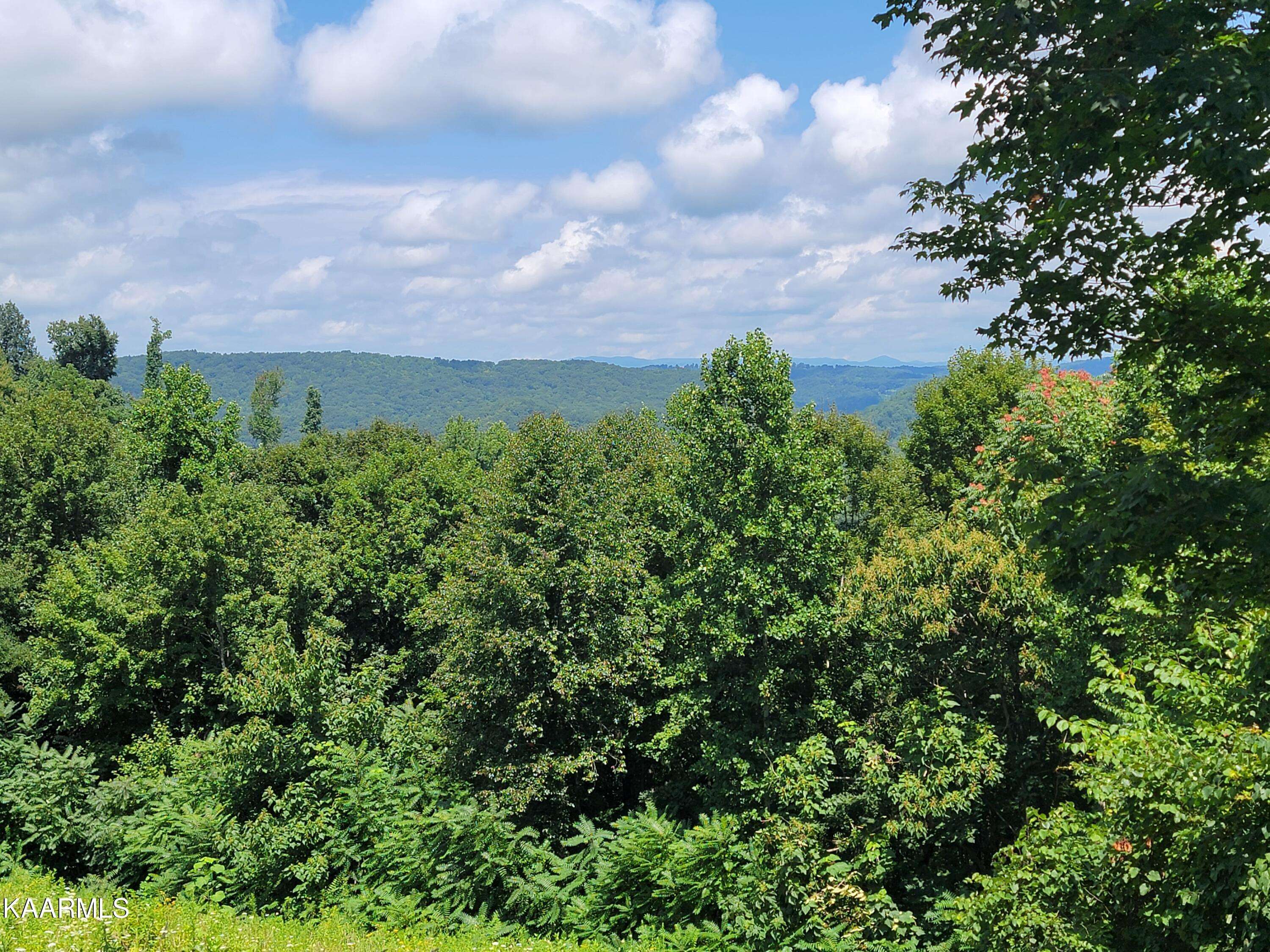 Maynardville, TN 37807,Lot 175 Eagles Cove Pkwy