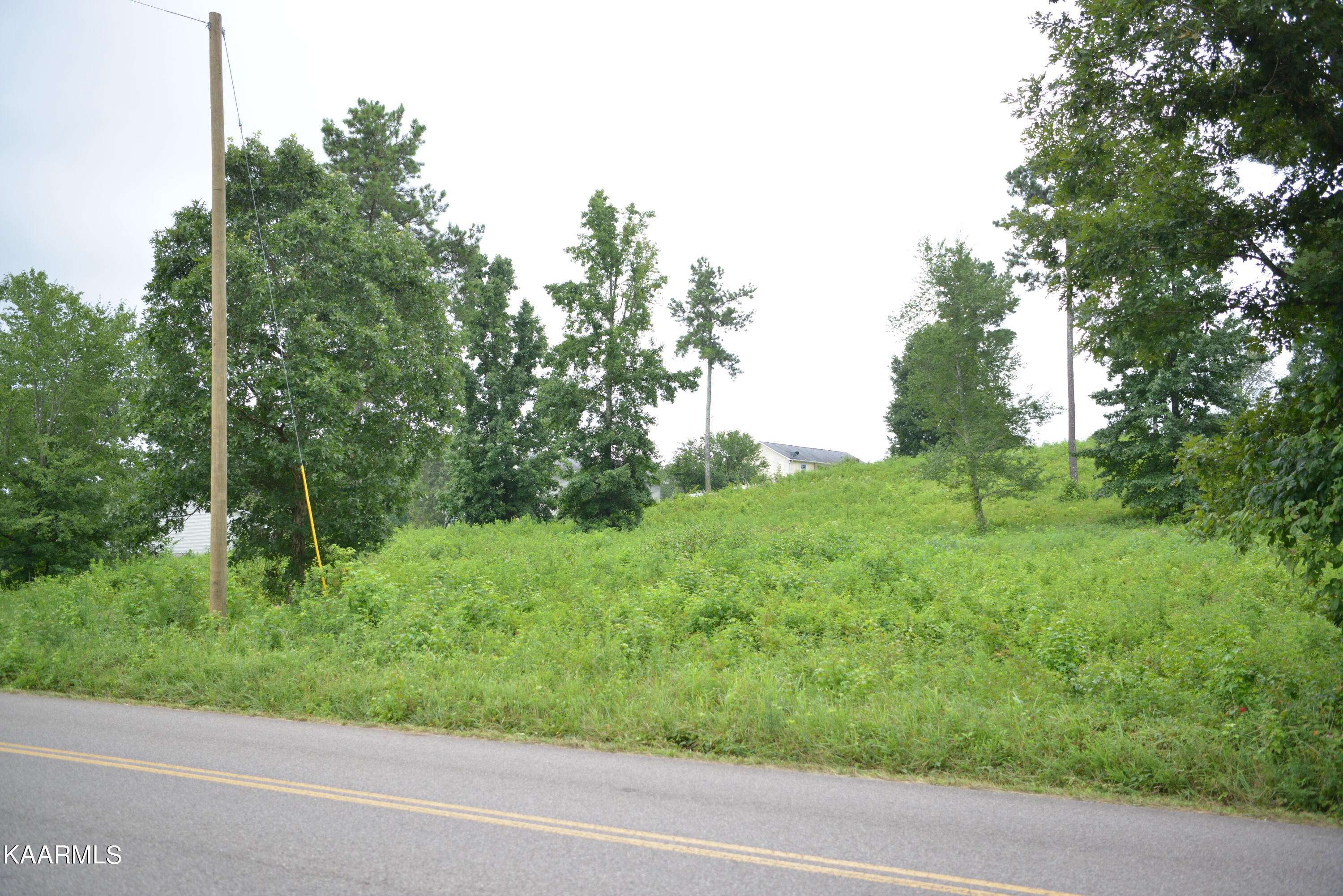 Evensville, TN 37332,Lot 8 White Flats Rd