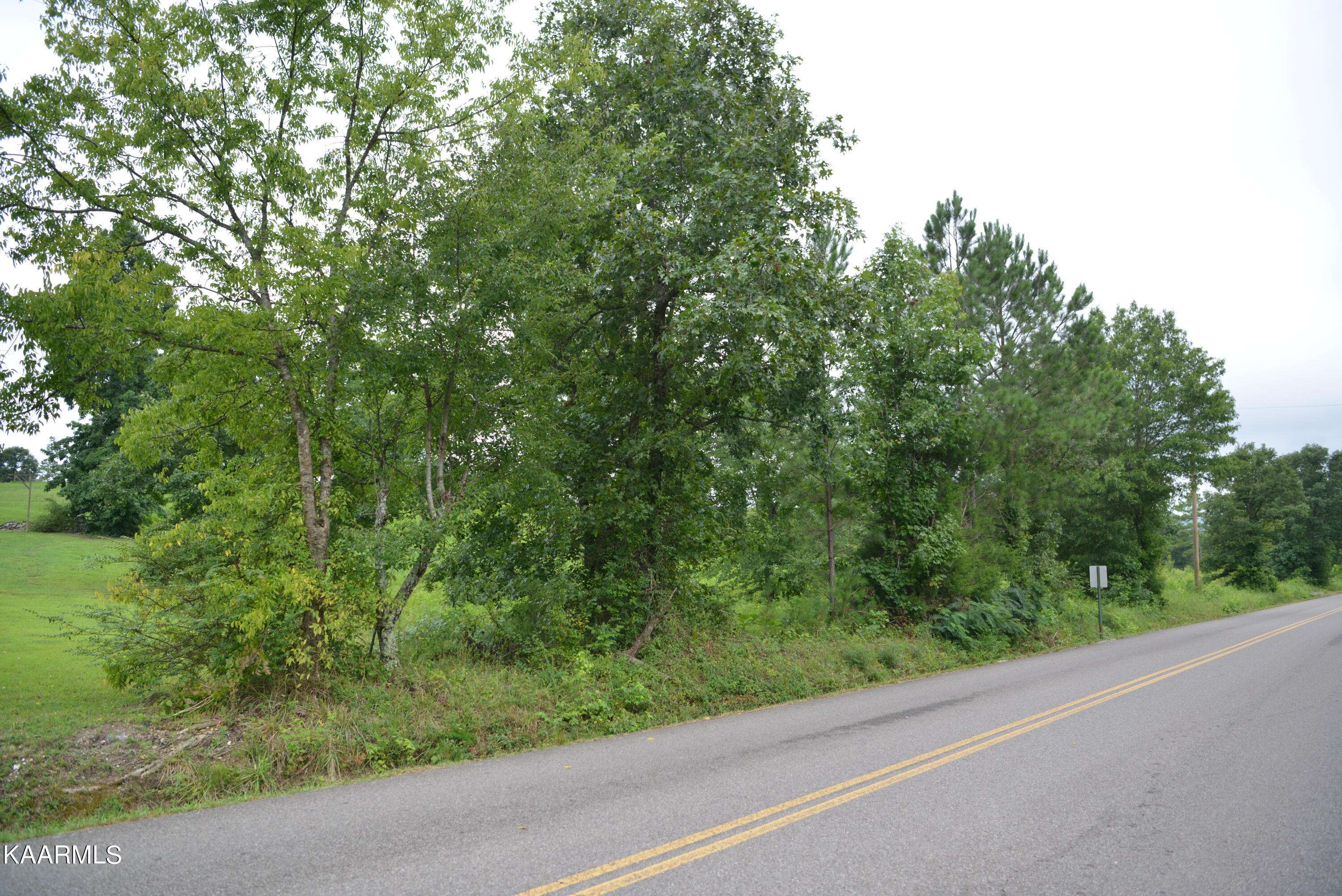 Evensville, TN 37332,Lot 8 White Flats Rd