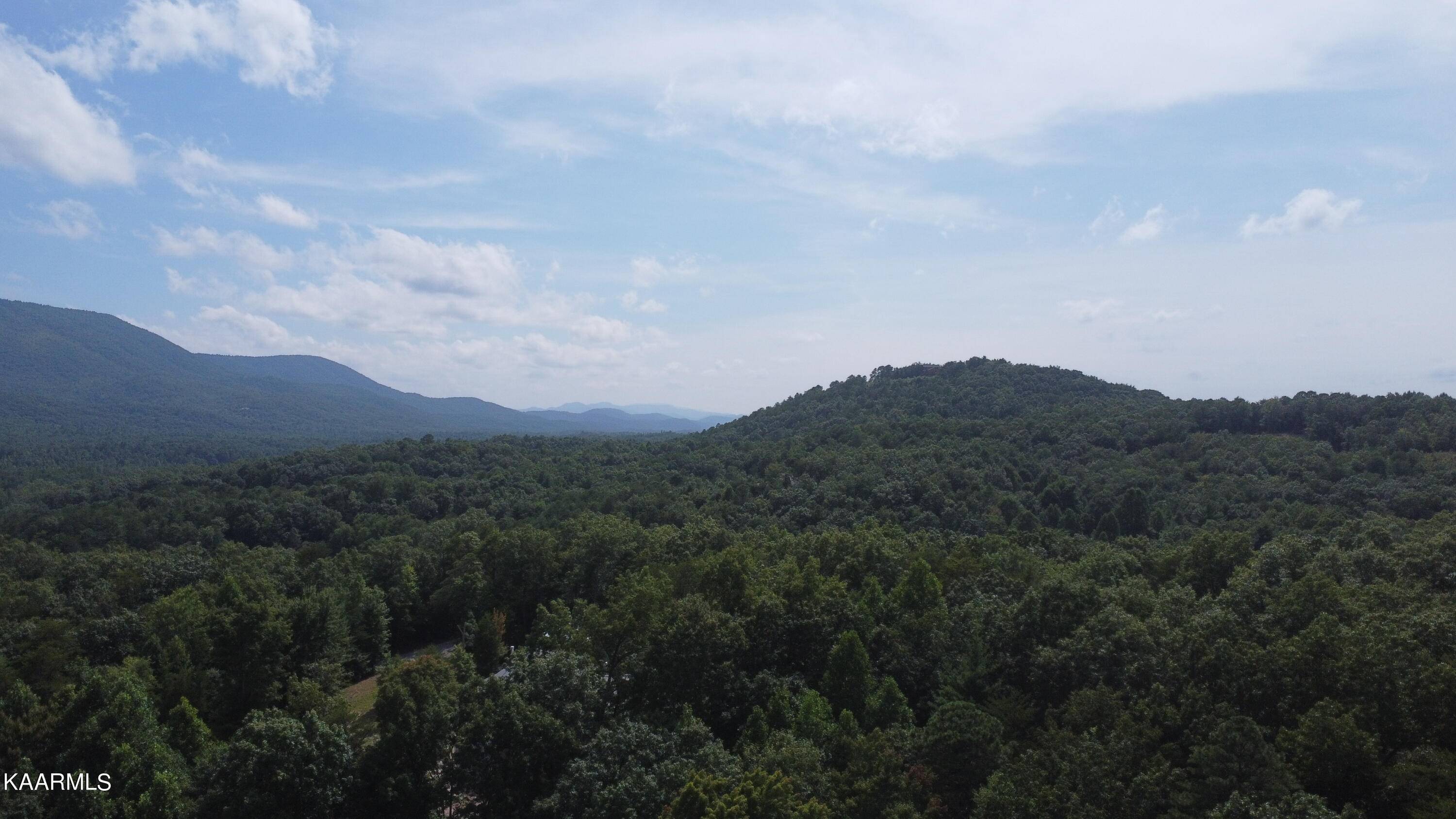 Tellico Plains, TN 37385,000 Harold Witt Rd