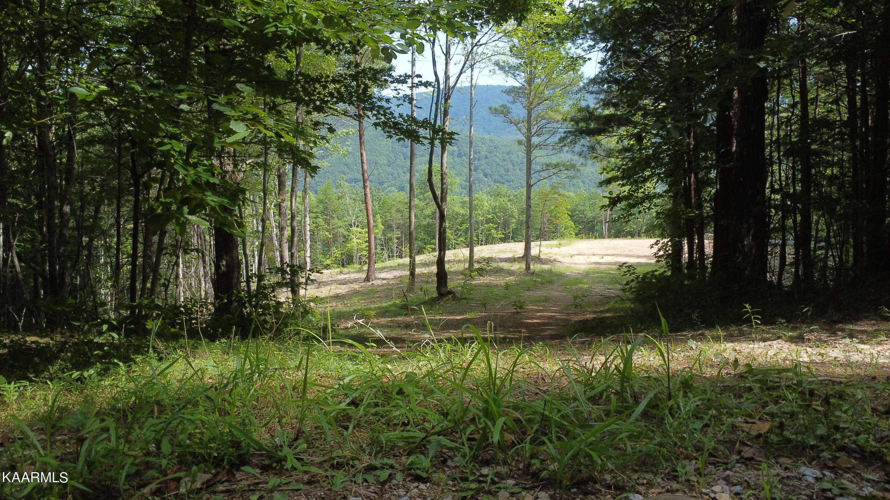 Tellico Plains, TN 37385,000 Harold Witt Rd