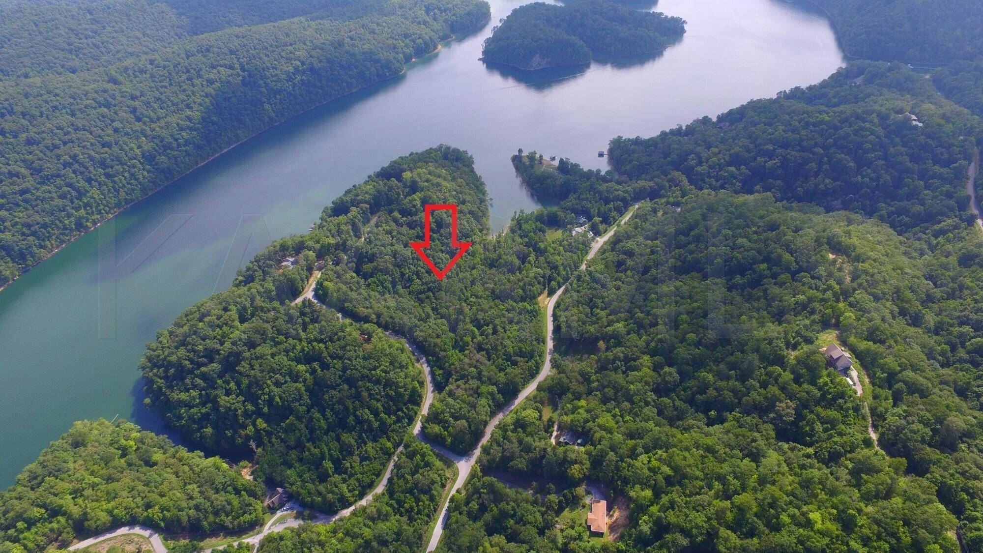 New Tazewell, TN 37825,Lot 830 Jacks Bluff Rd