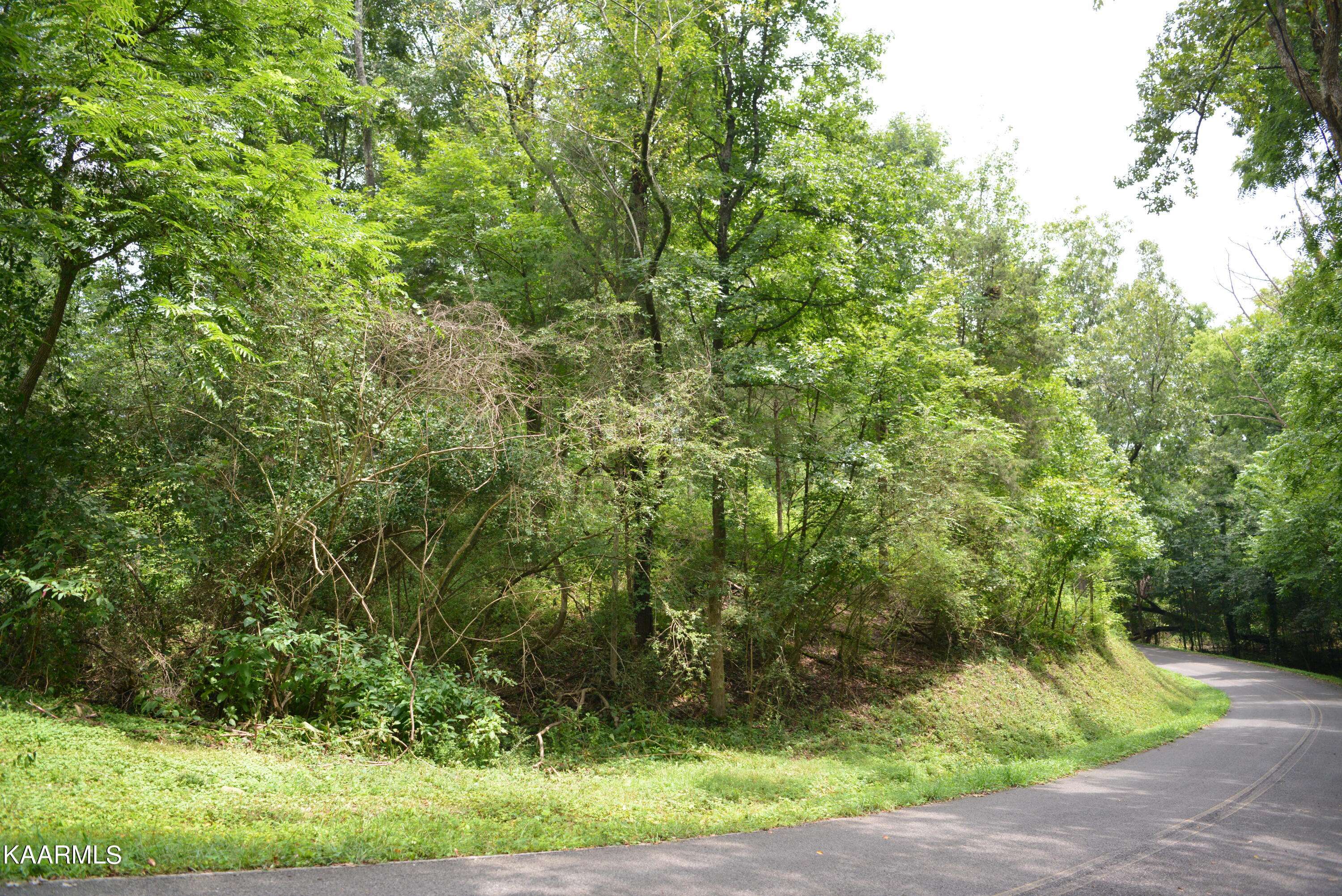 Dayton, TN 37321,Lot 28 Park DR