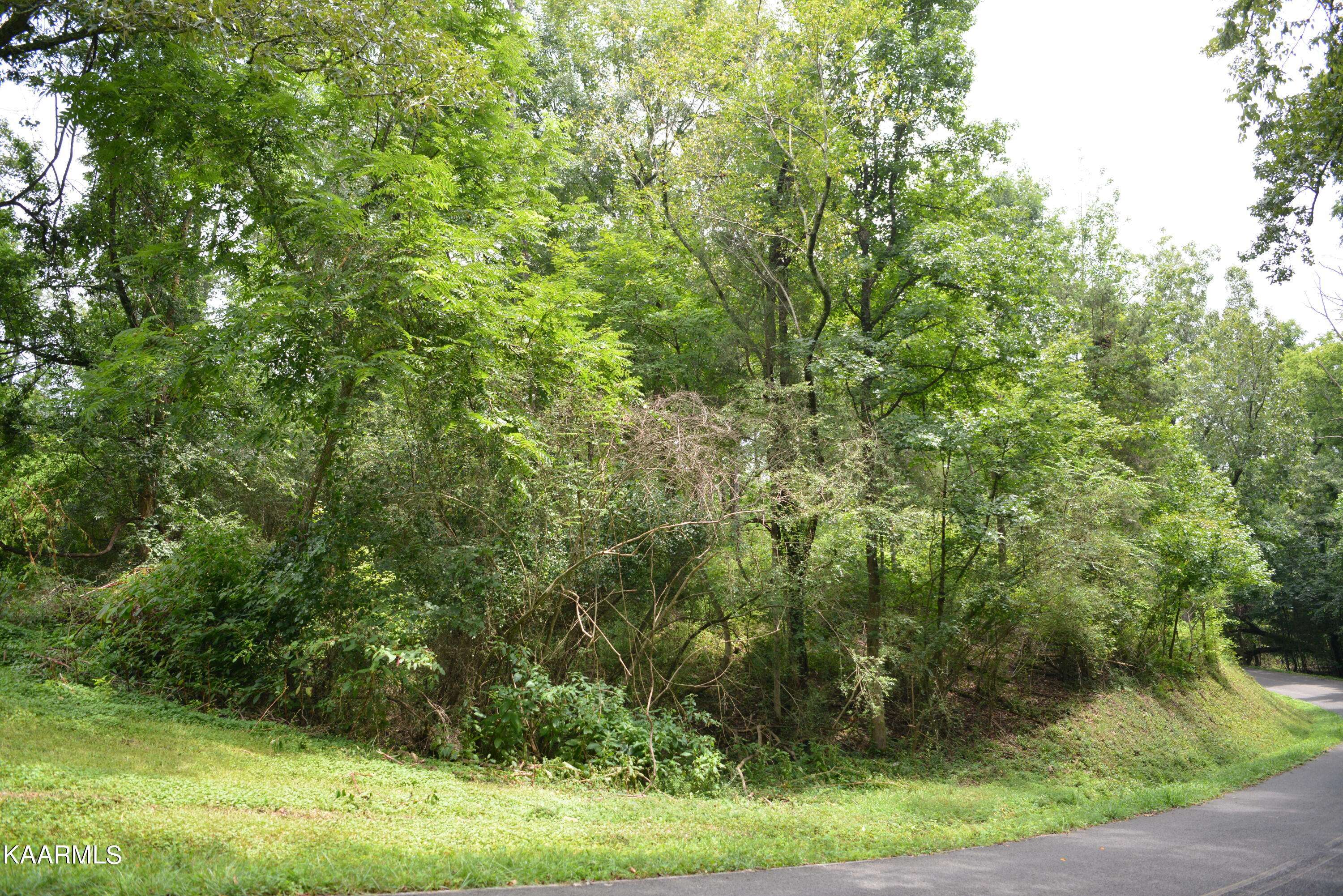 Dayton, TN 37321,Lot 28 Park DR