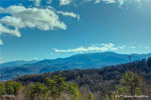 Gatlinburg, TN 37738,1215 Ski View Drive