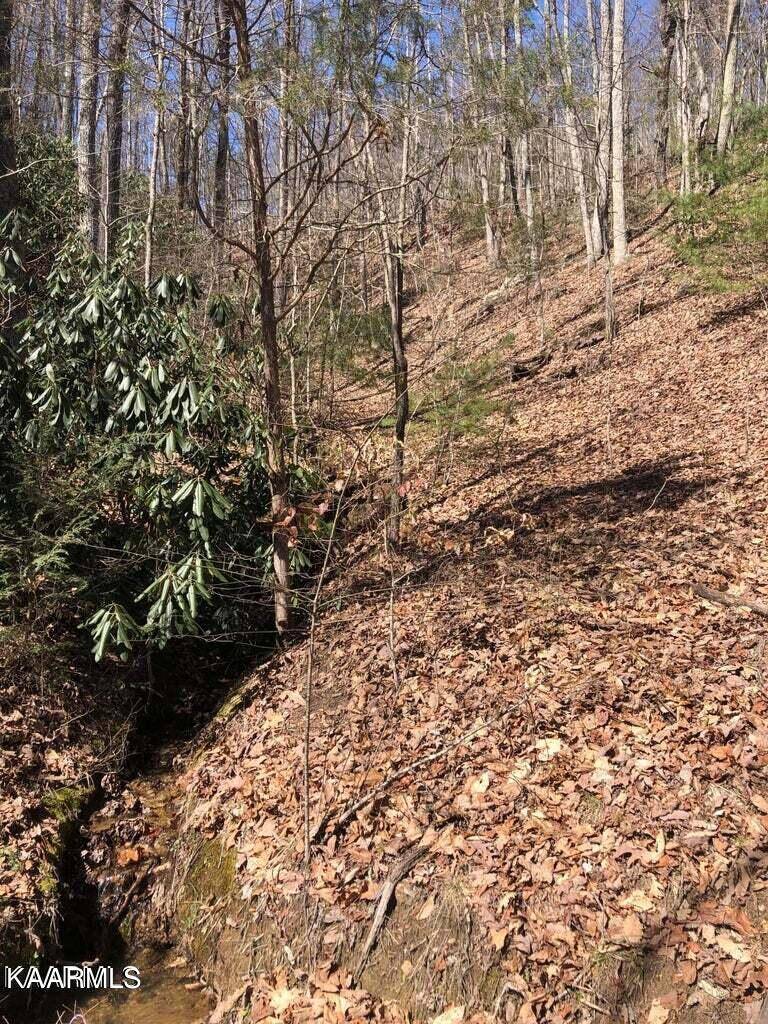 Sevierville, TN 37876,Lot 18 Alpine DR