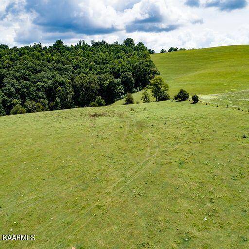 New Tazewell, TN 37825,Coffey parcel # 1