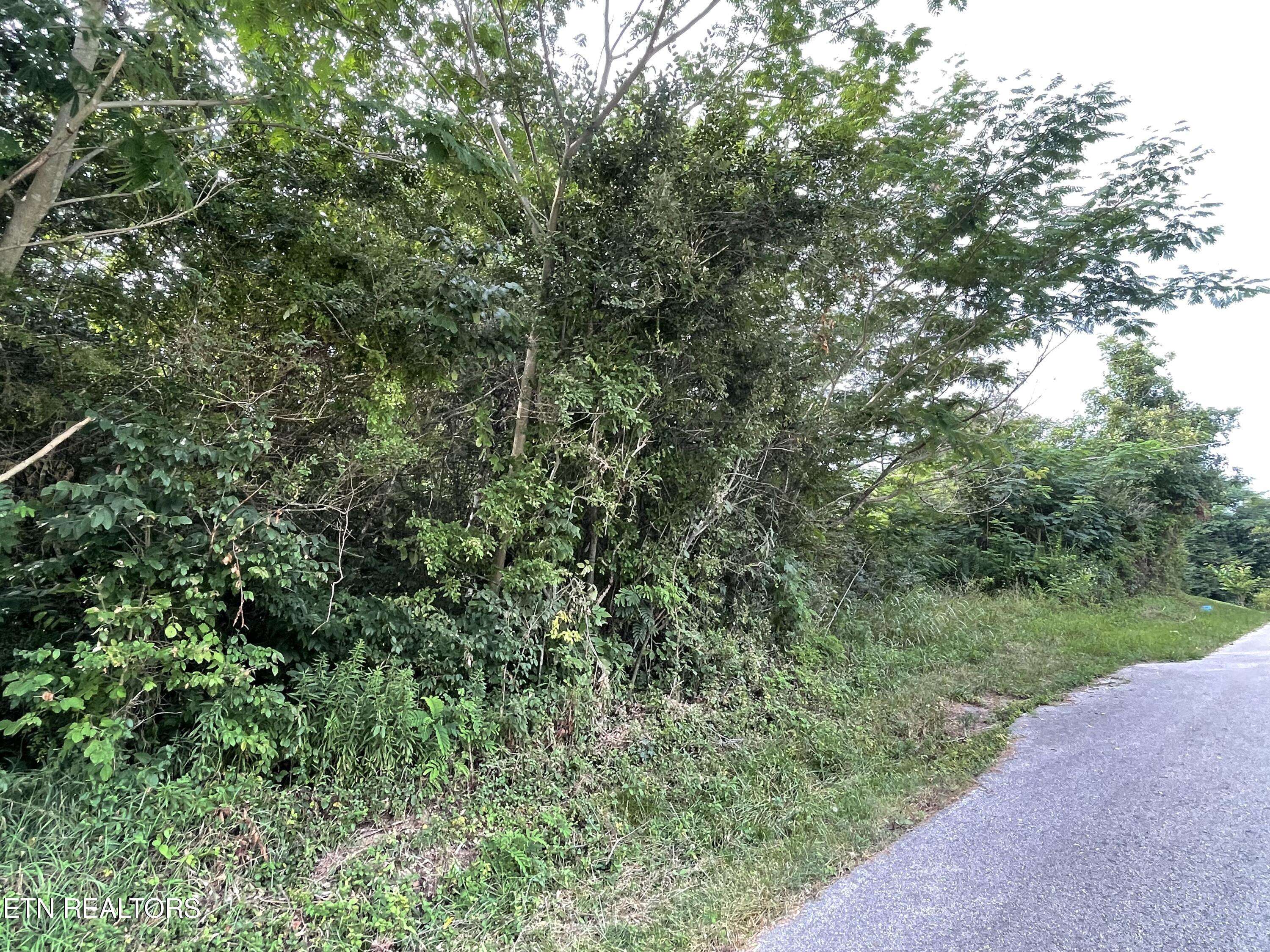 Jacksboro, TN 37757,lot 7 Sawmill CIR