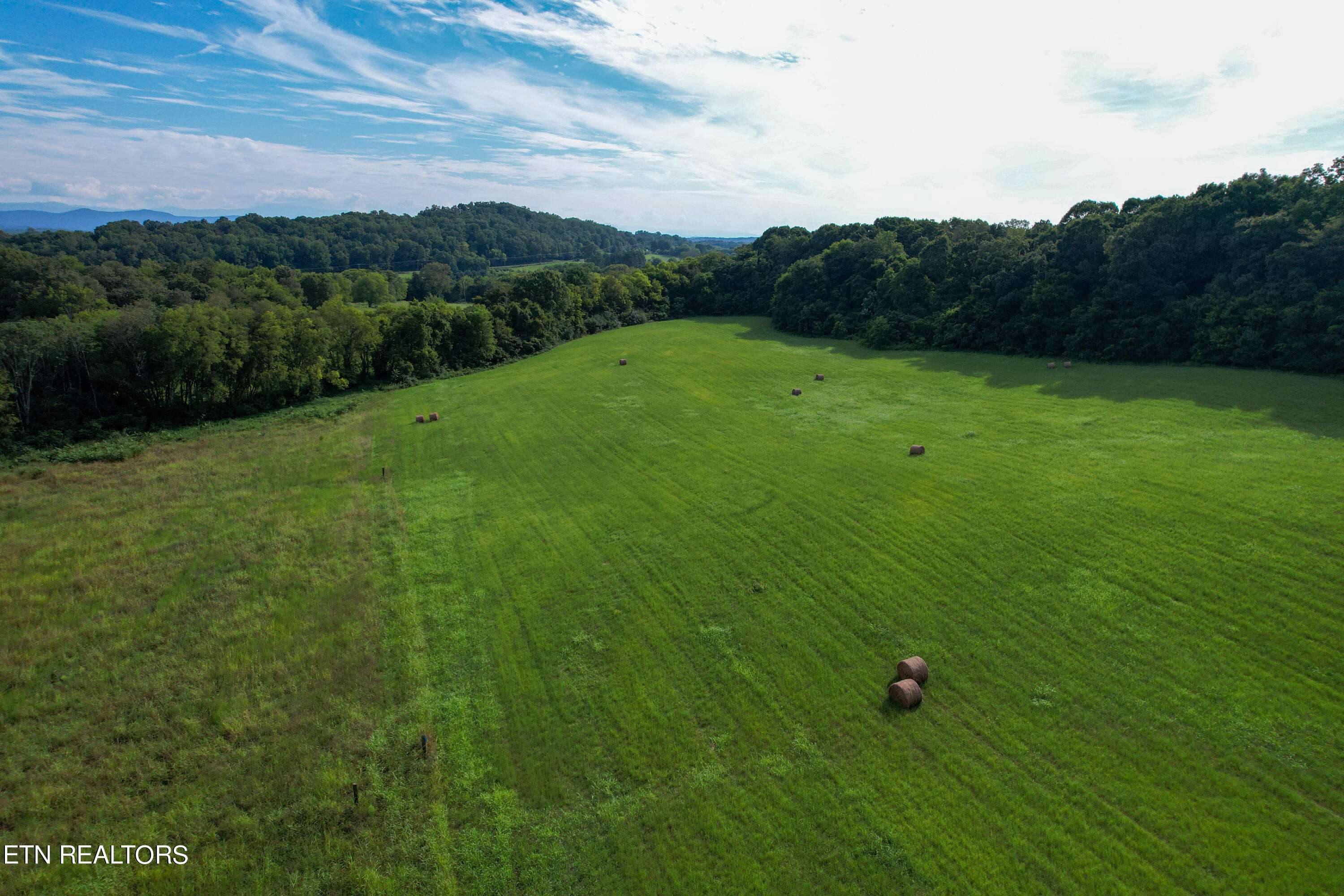 White Pine, TN 37890,Lot 2 Cornfield LN