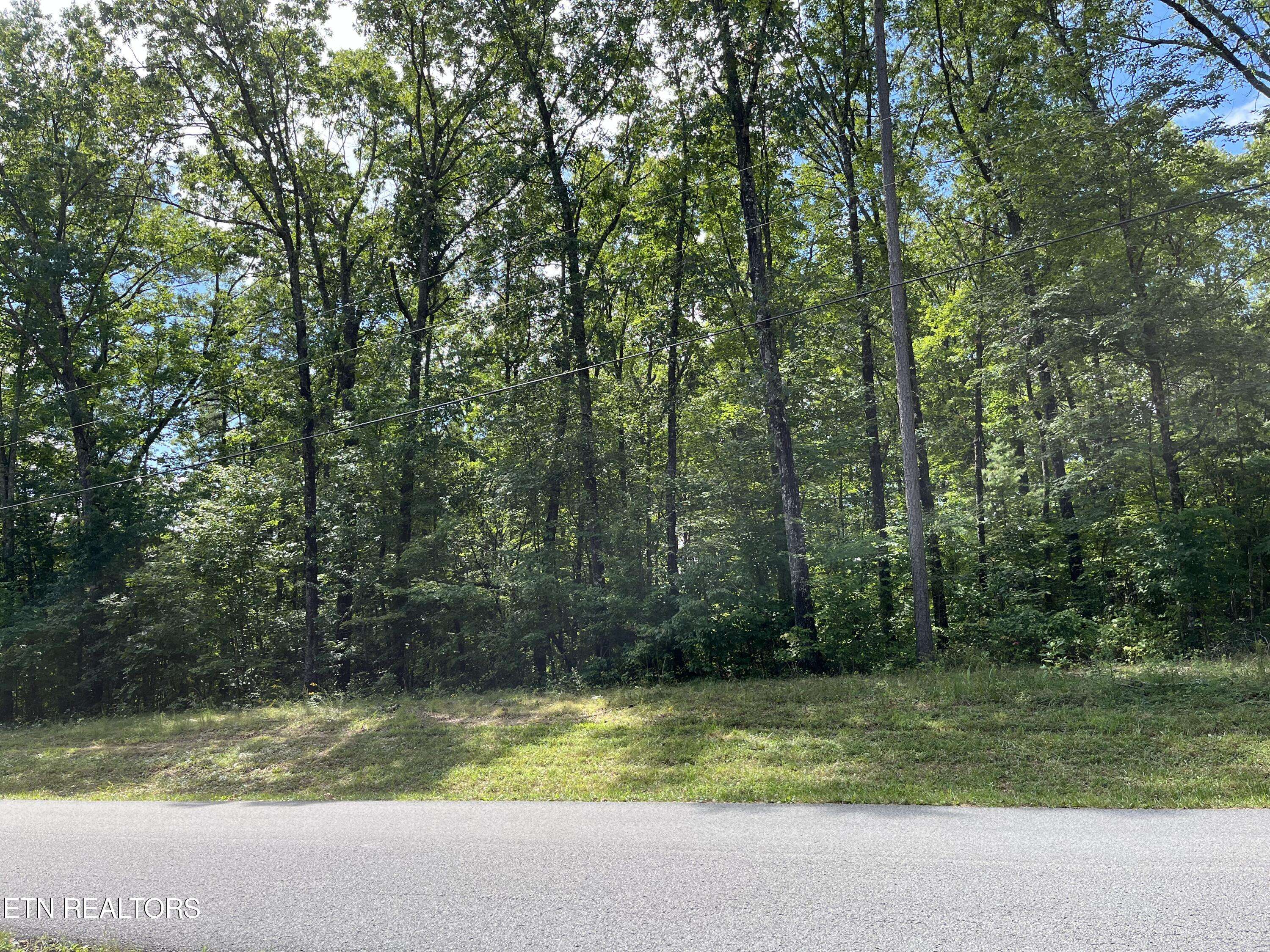 Jamestown, TN 38556,Ridgetop DR