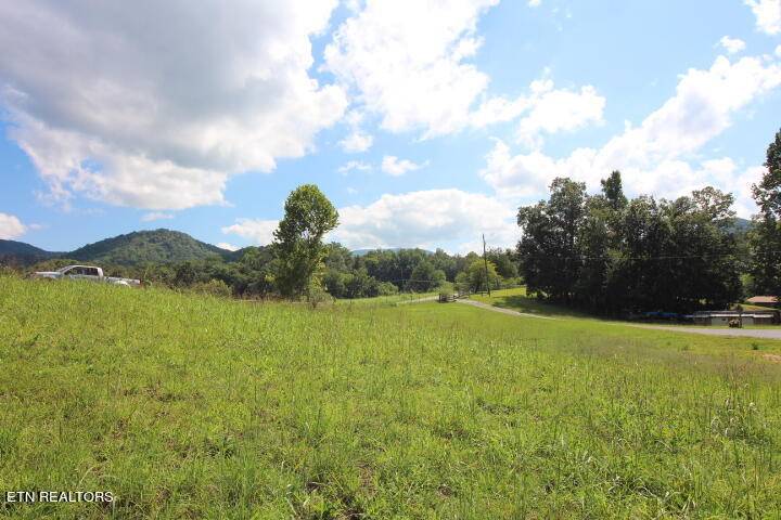 Townsend, TN 37882,519 Rudd Hollow Rd