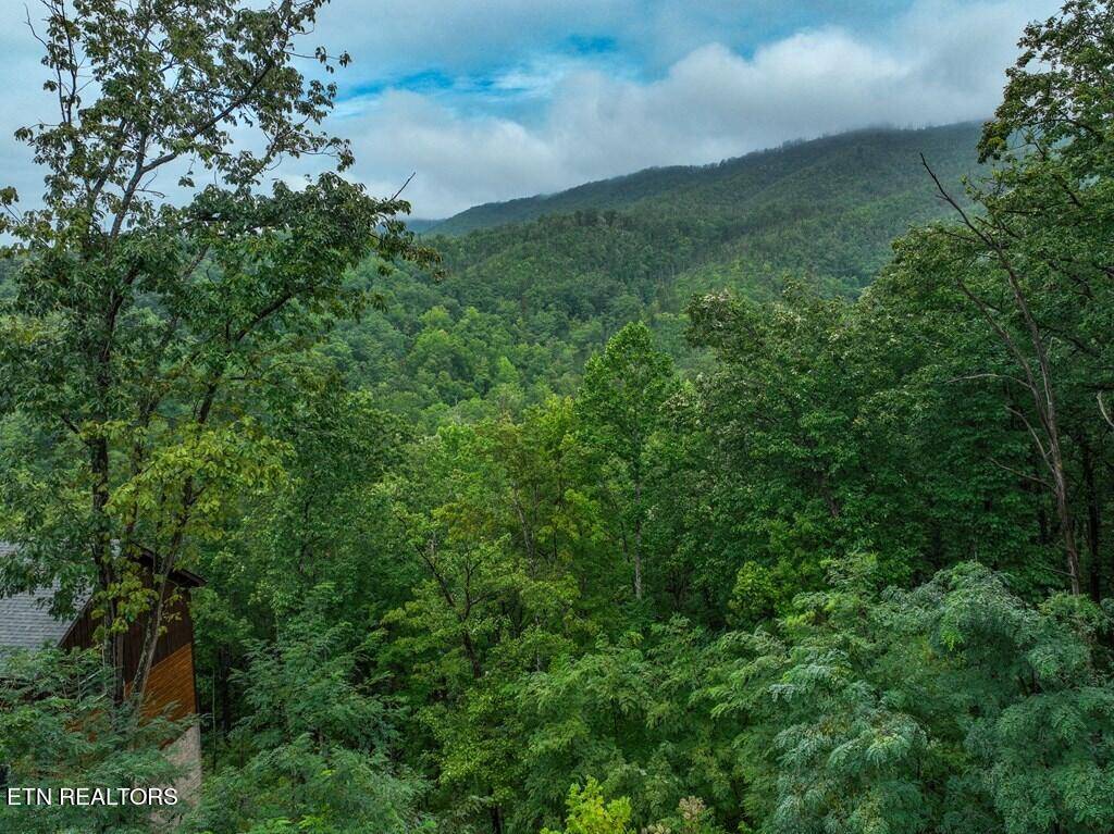 Gatlinburg, TN 37738,819 Pine Top LN