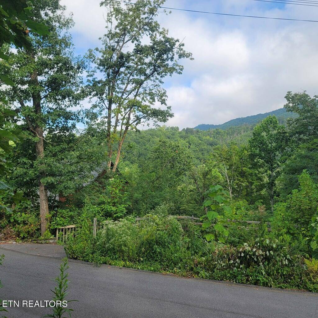 Gatlinburg, TN 37738,819 Pine Top LN