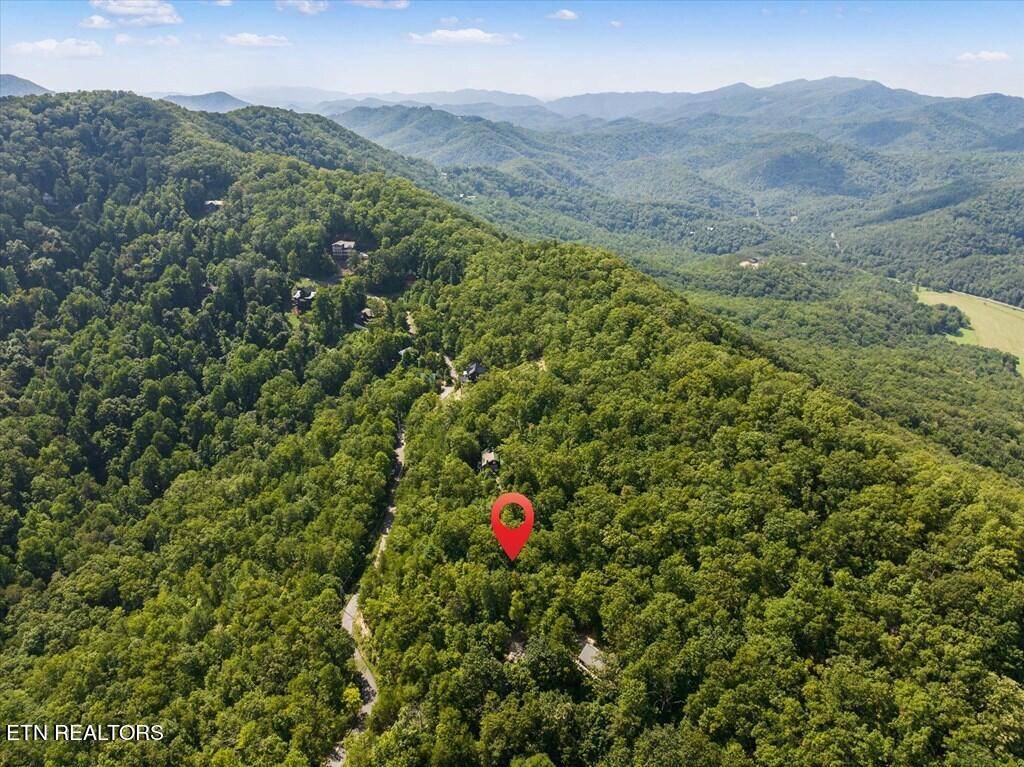 Sevierville, TN 37862,Overholt Tr