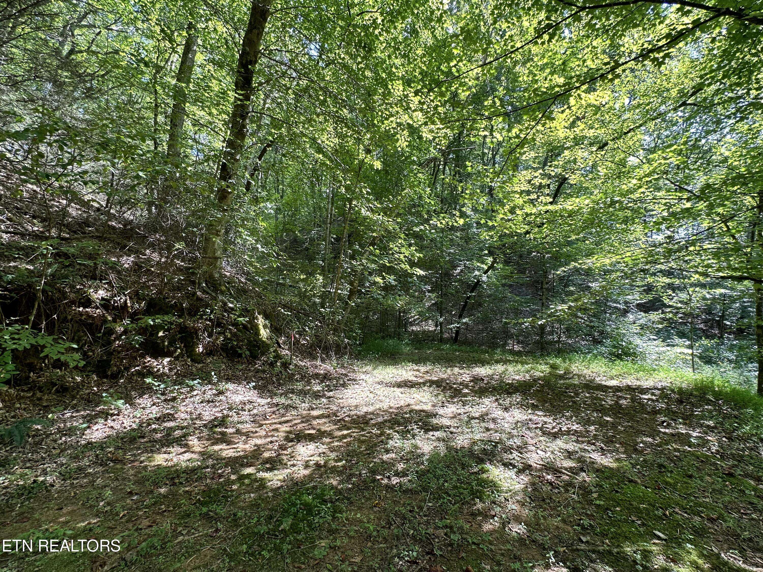 Sevierville, TN 37862,861 Cabin Creek WAY