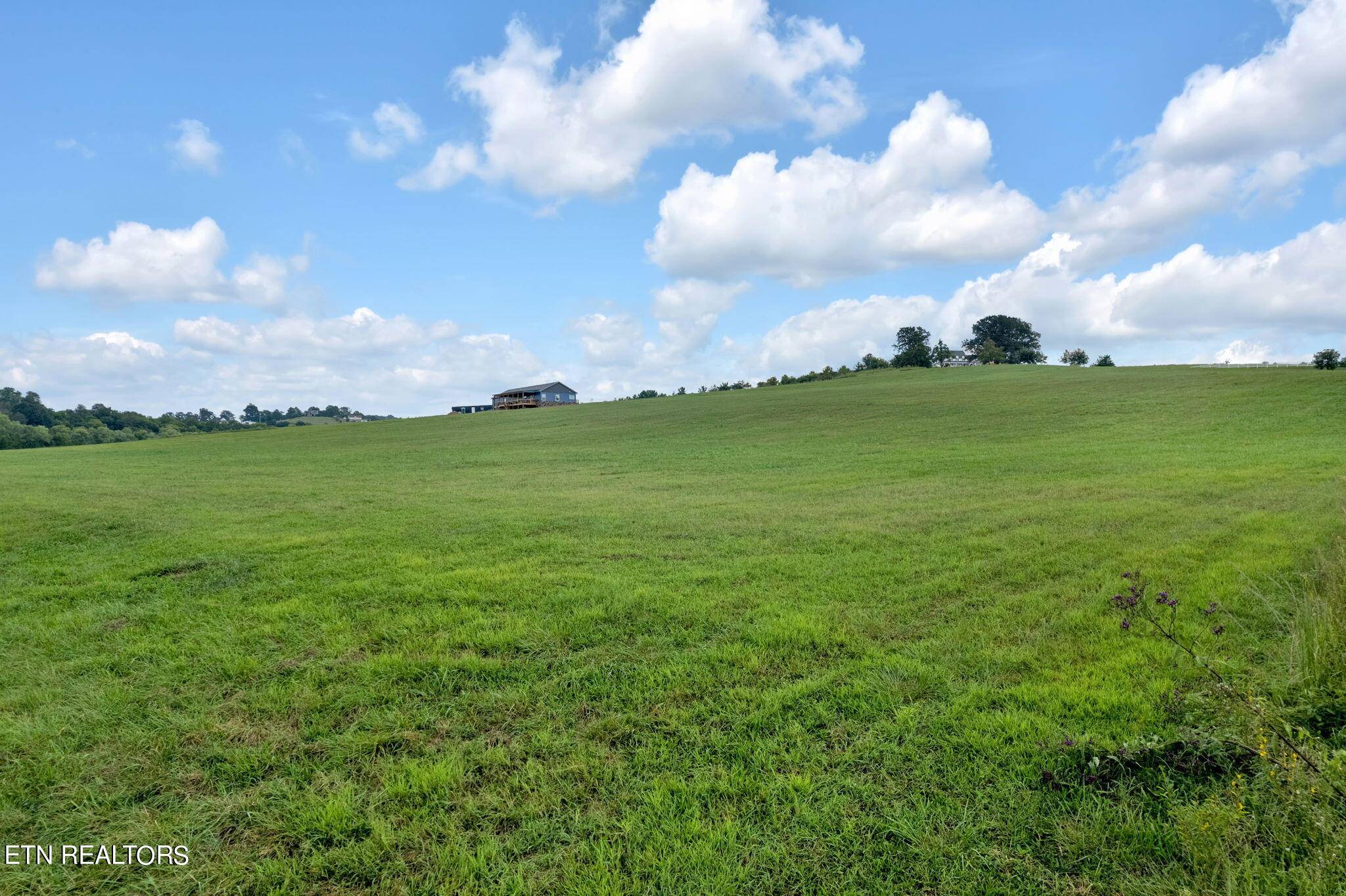 New Market, TN 37820,Lot 13R Holston View Rd