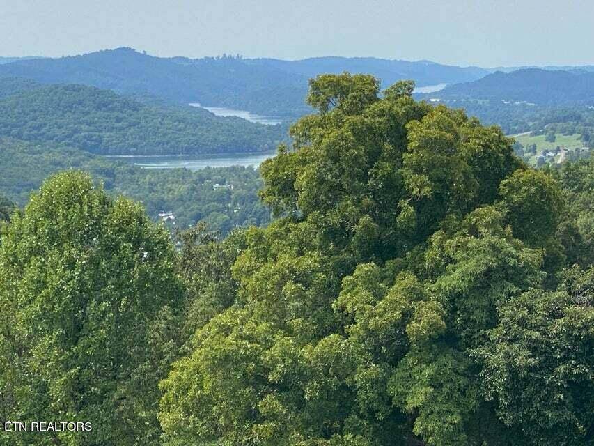 New Tazewell, TN 37825,149 Tanzanite Tr