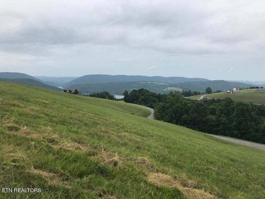 New Tazewell, TN 37825,149 Tanzanite Tr