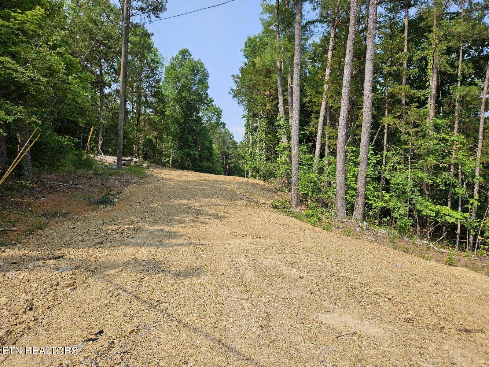 Dandridge, TN 37725,Lot 57 Bootbluff