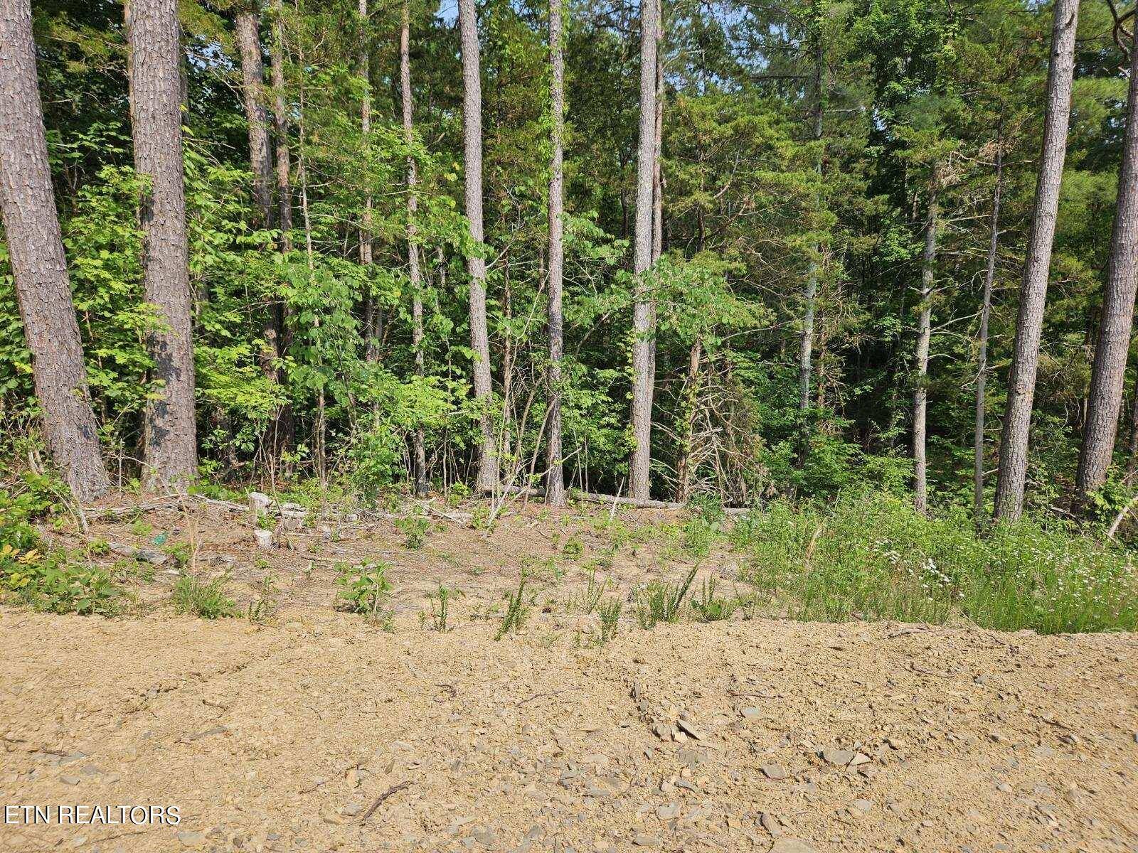 Dandridge, TN 37725,Lot 57 Bootbluff