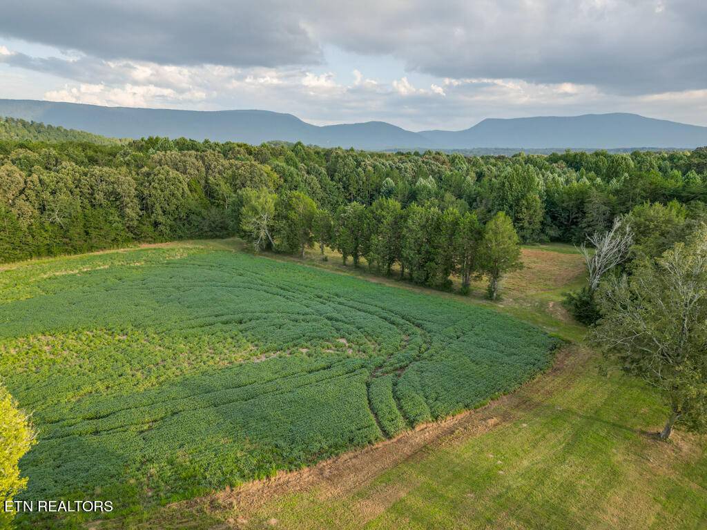 Etowah, TN 37331,000 County Road 784