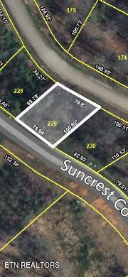 Lafollette, TN 37766,229 Suncrest CV