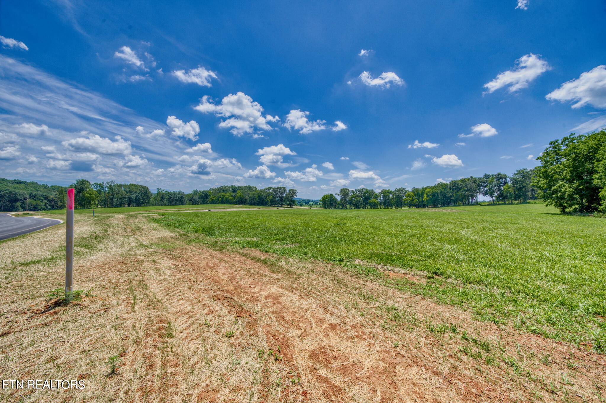 Greenback, TN 37742,Lot22 1015 Sophie DR