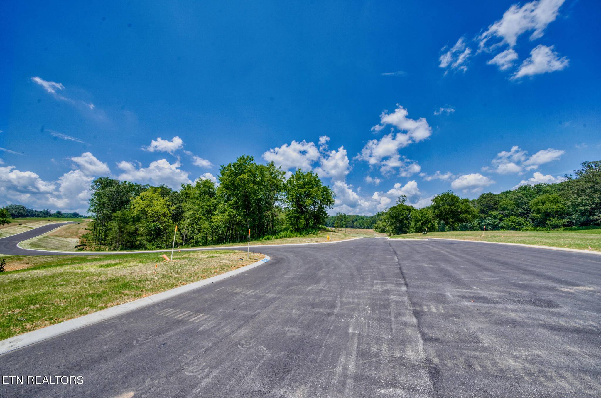 Greenback, TN 37742,Lot22 1015 Sophie DR