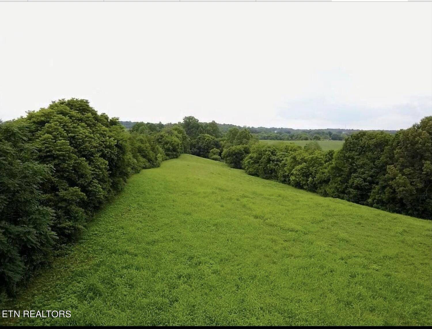 Walland, TN 37886,Lot 4R-1 Jeffries Hollow Rd