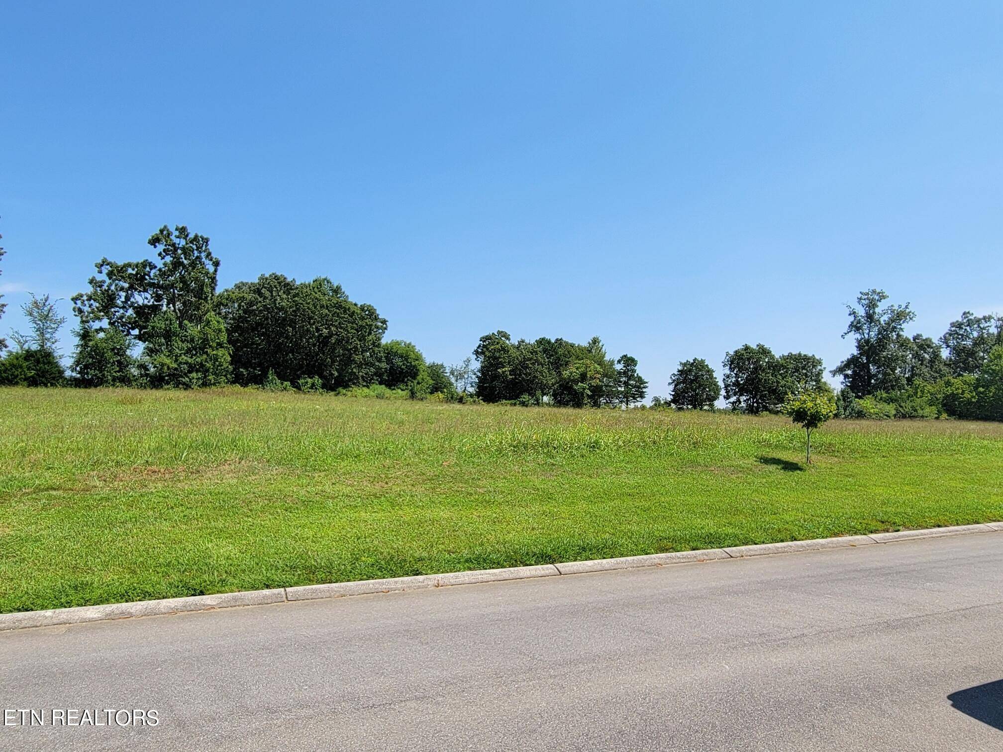 Madisonville, TN 37354,Lot 33 Sugar Maple CT