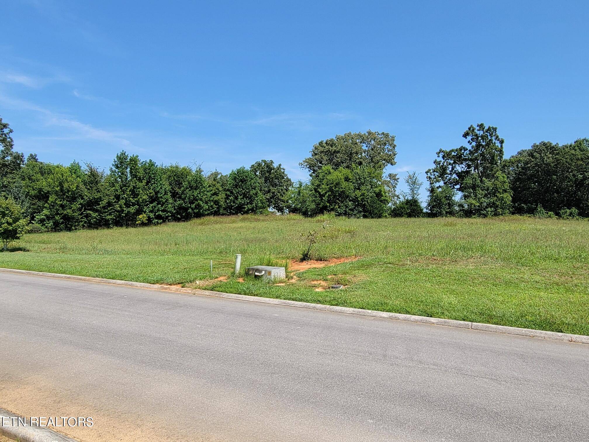 Madisonville, TN 37354,Lot 33 Sugar Maple CT