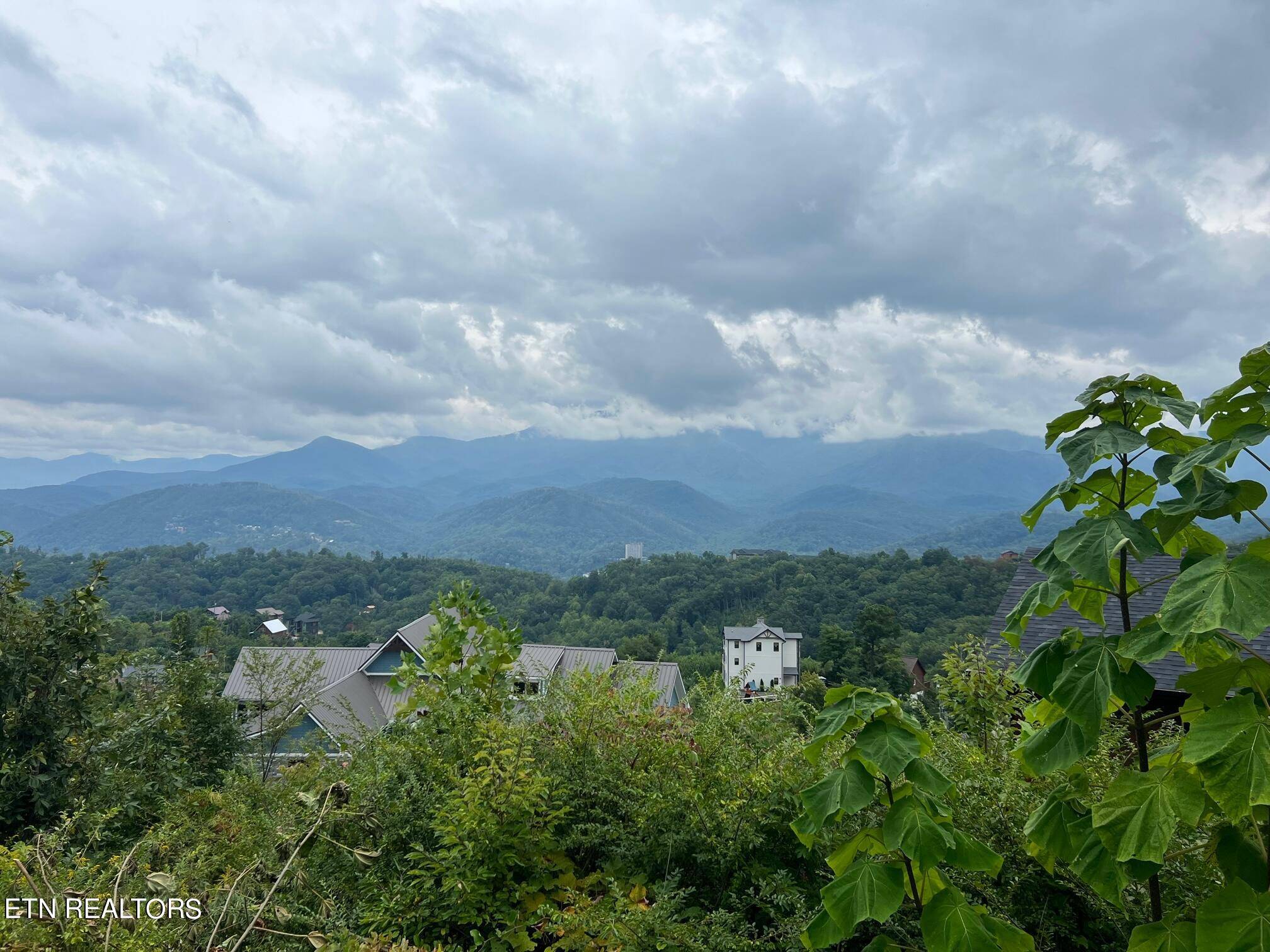 Gatlinburg, TN 37738,951 Wiley Oakley DR