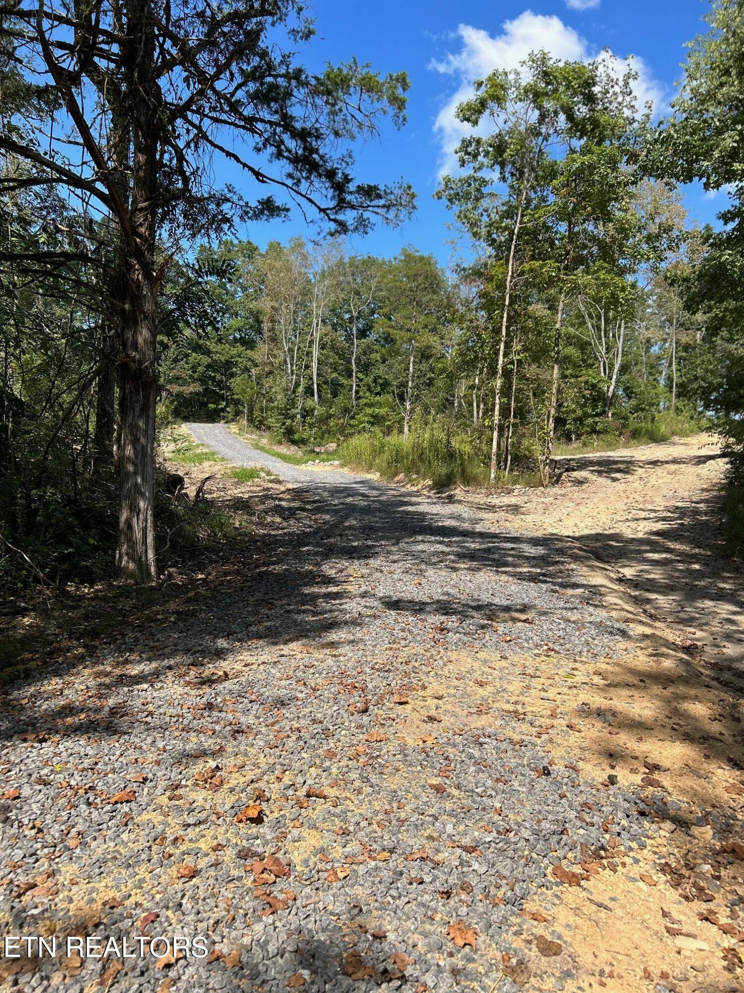 Ten Mile, TN 37880,Tract 8A Euchee Road