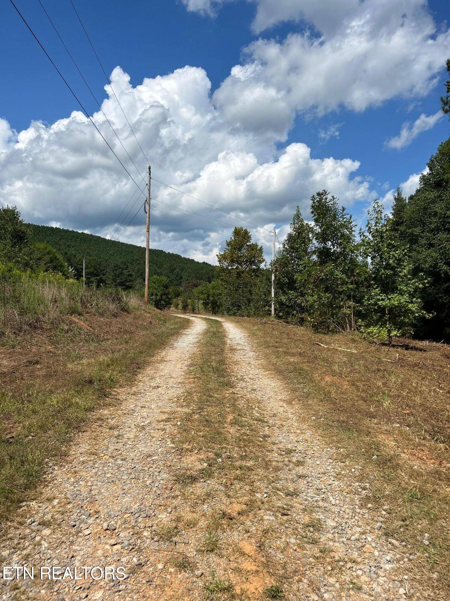 Decatur, TN 37322,6.84 acres Cuno Lane